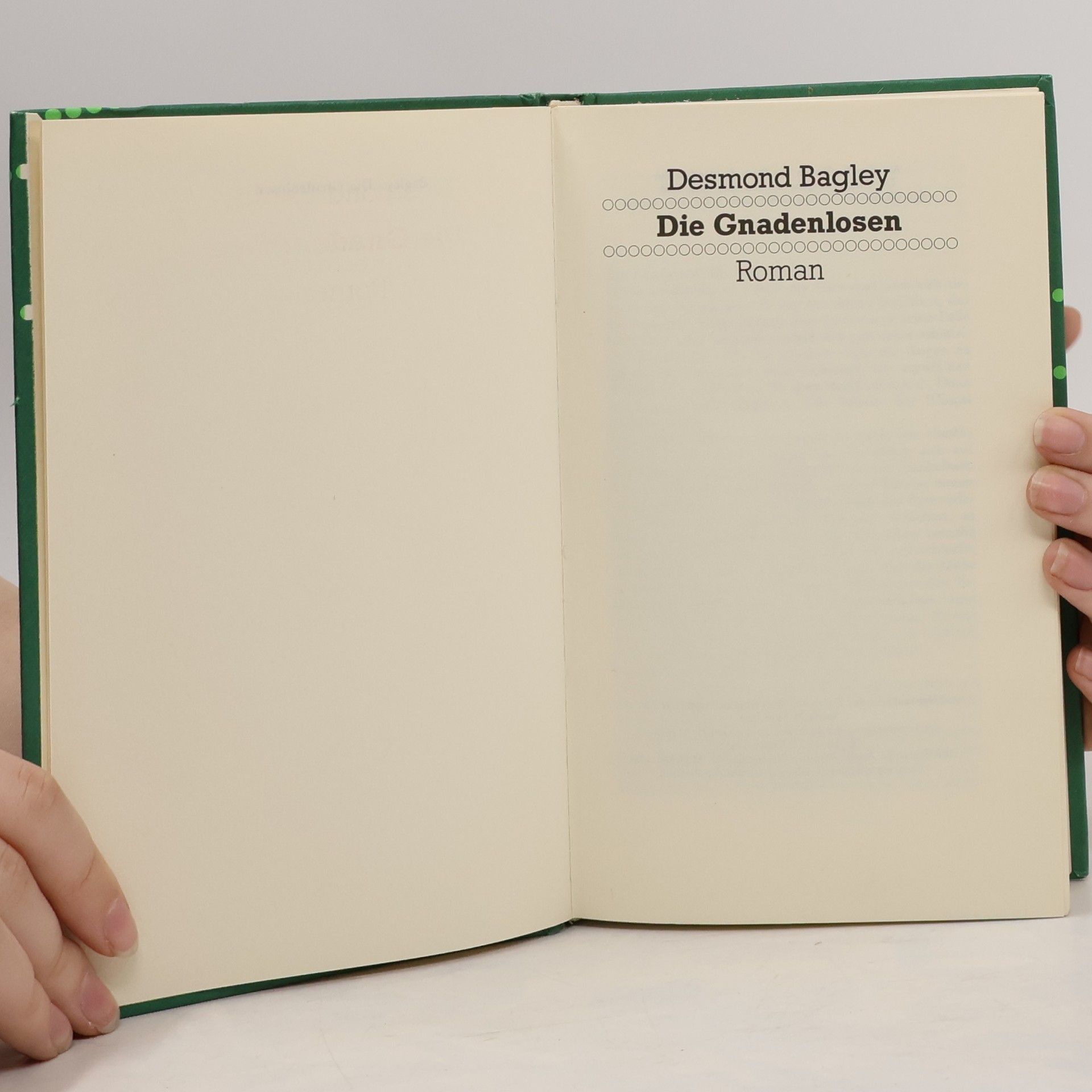Desmond Bagley Die Gnadenlosen