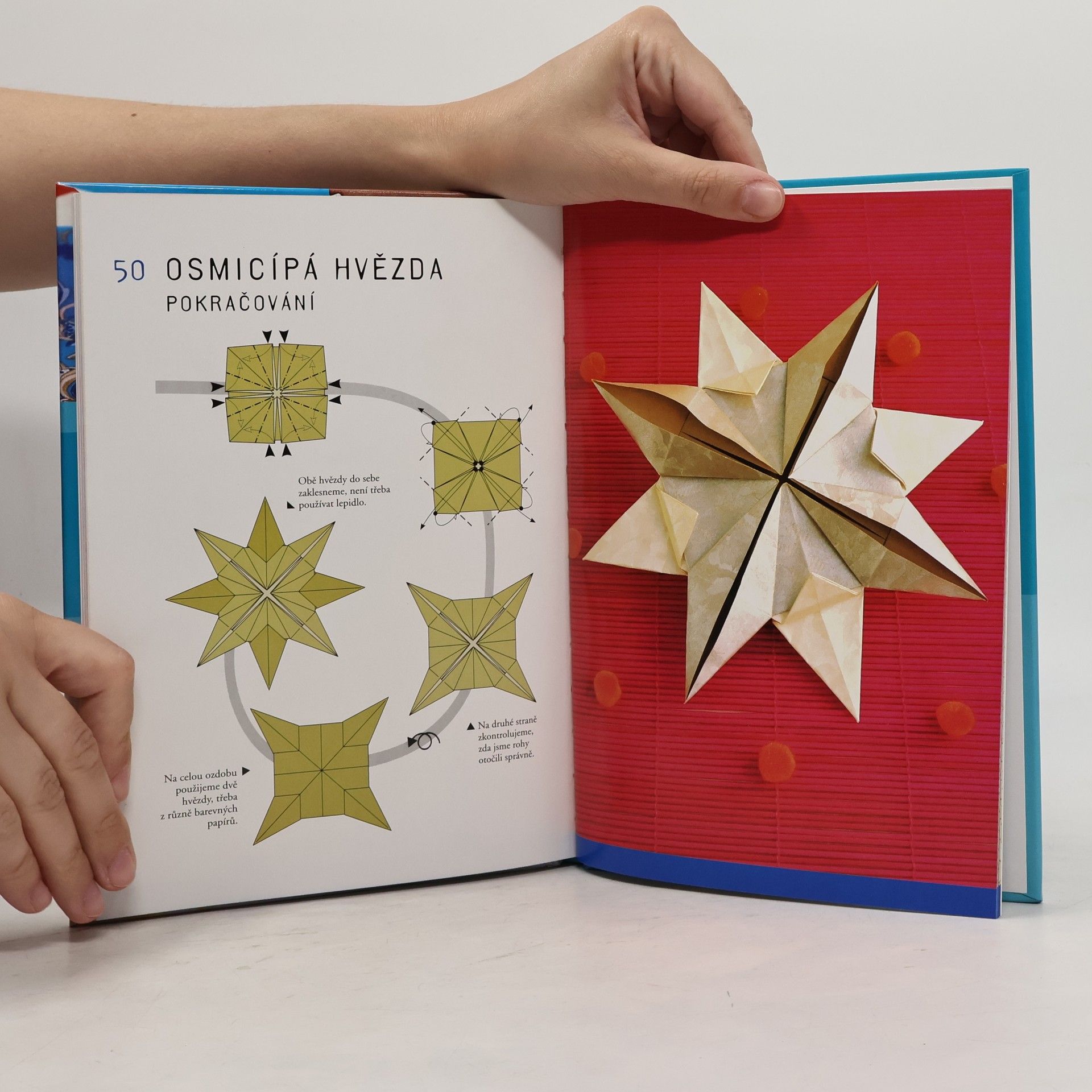 Amandine Dardenne Origami : skládání z papíru