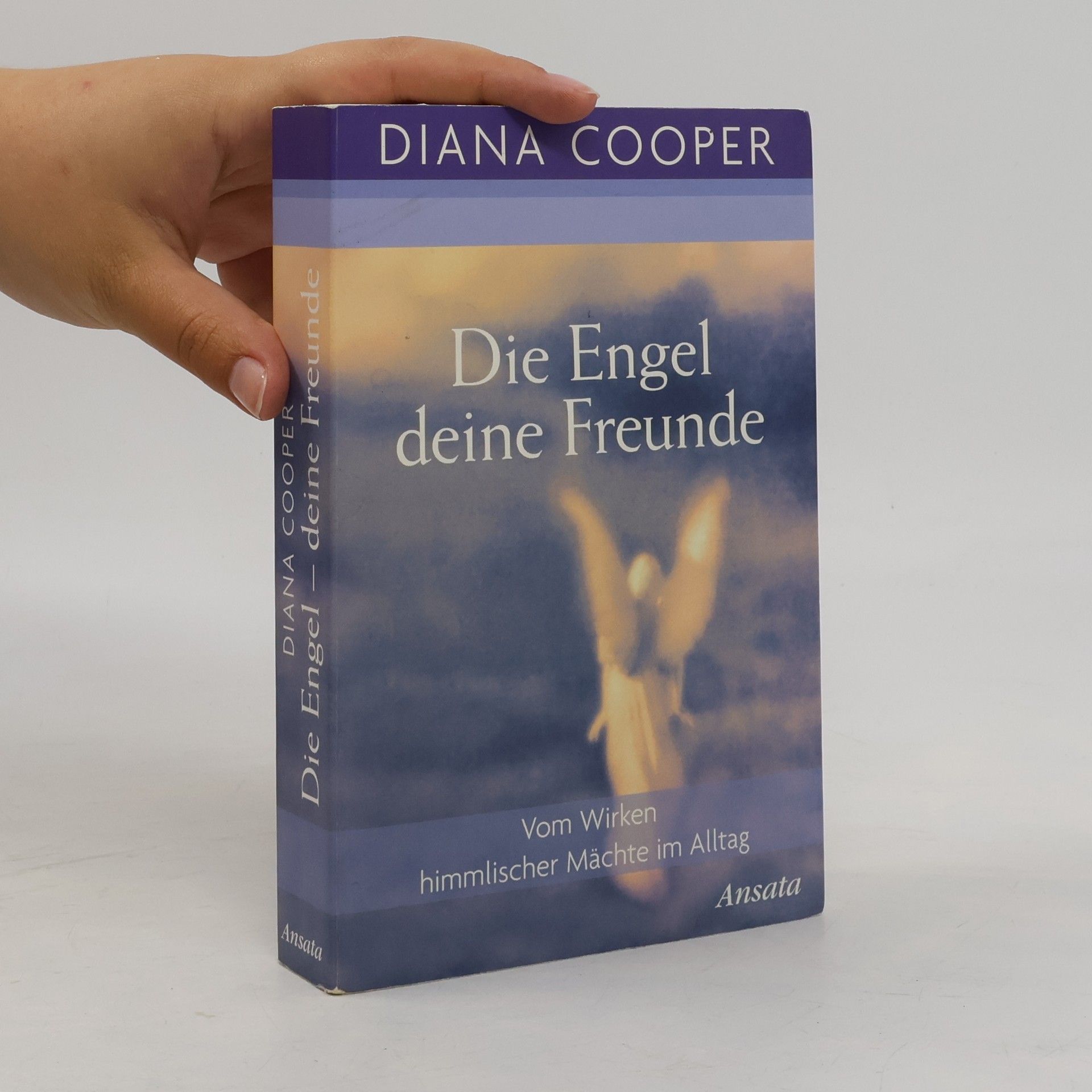 Diana Cooper Die Engel, deine Freunde