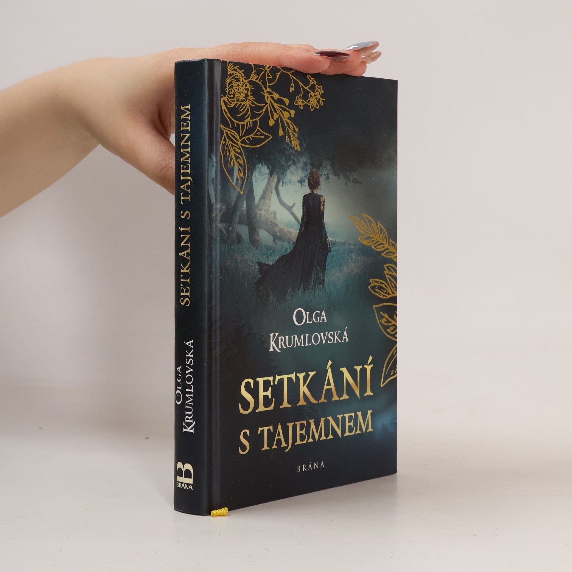 Setkání s tajemnem