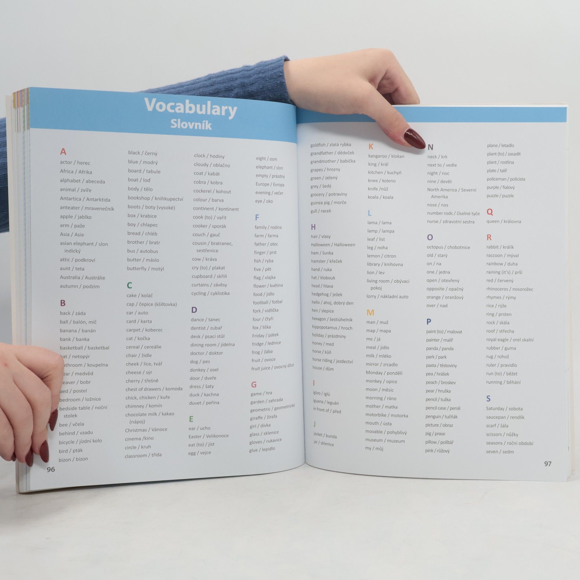 Adéla Poláková Můj velký sešit Montessori. Angličtina