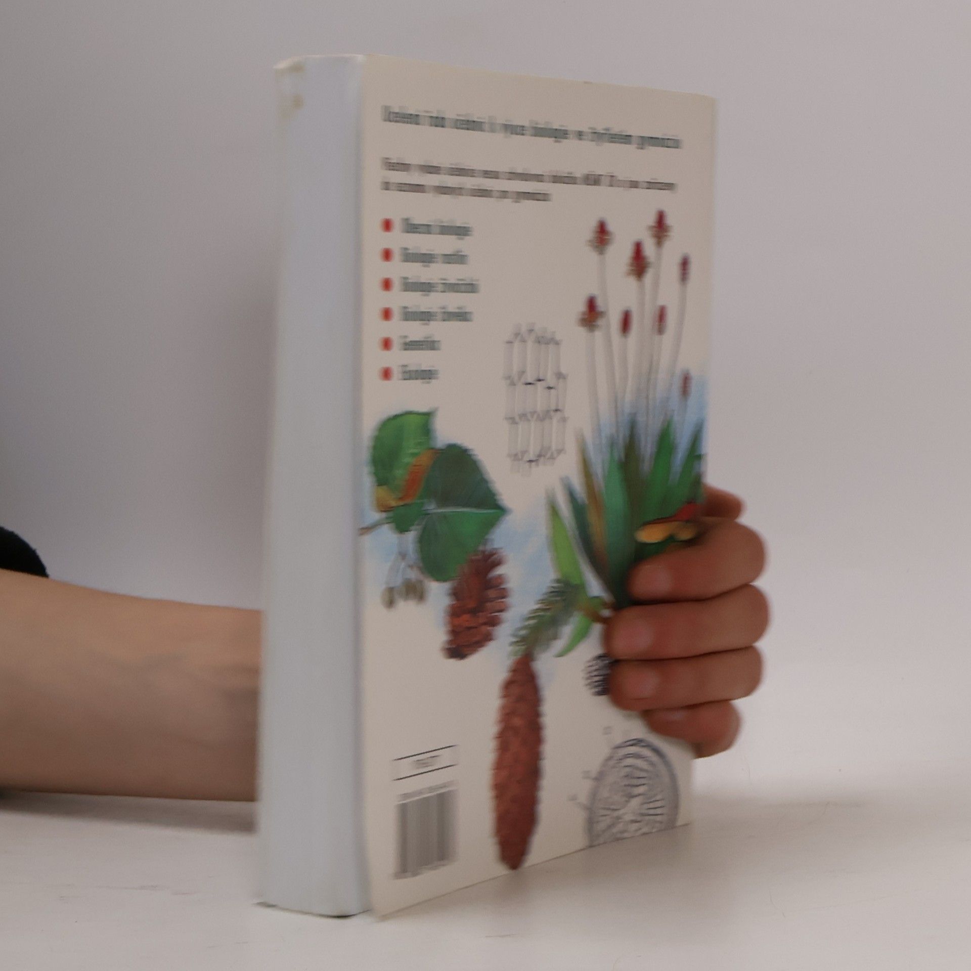 Lubomír Kincl Biologie rostlin: Pro 1. ročník gymnázií