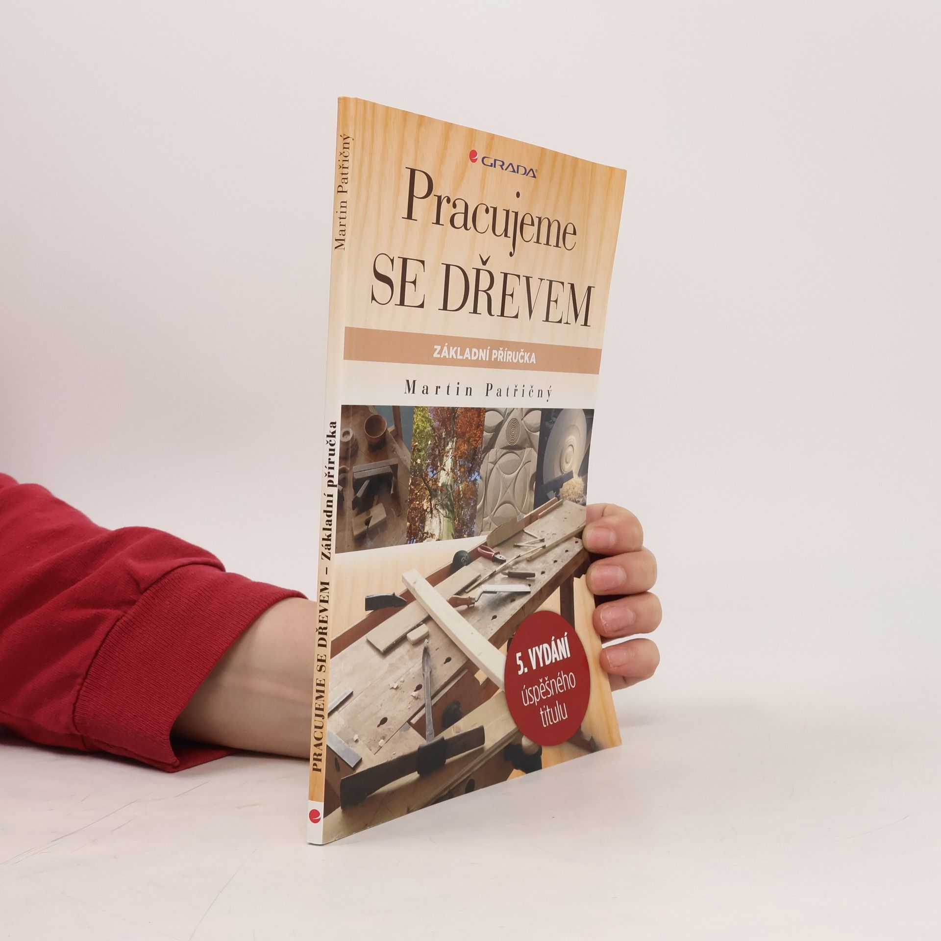 Martin Patřičný Pracujeme se dřevem. Základní příručka