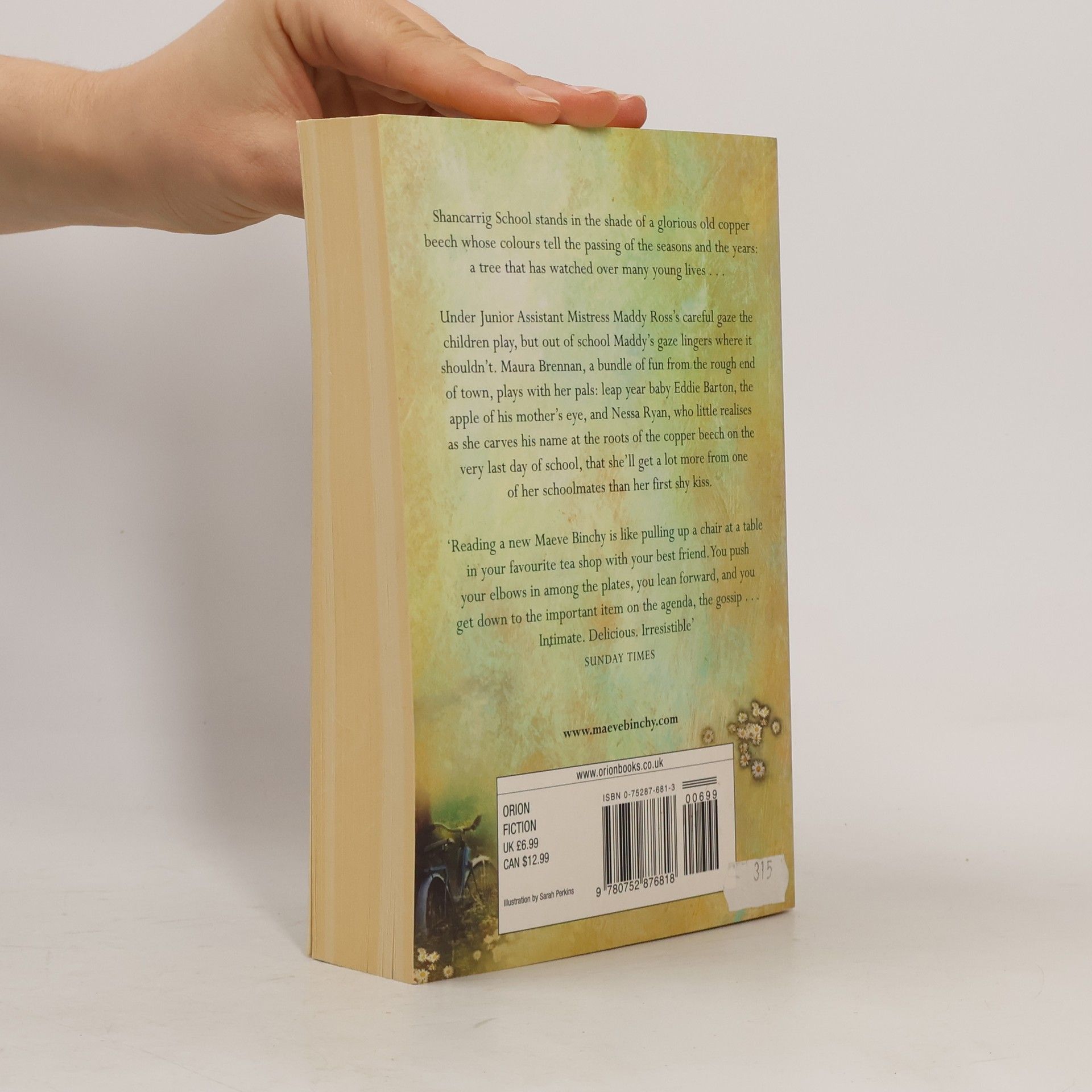 Maeve Binchy The copper beech