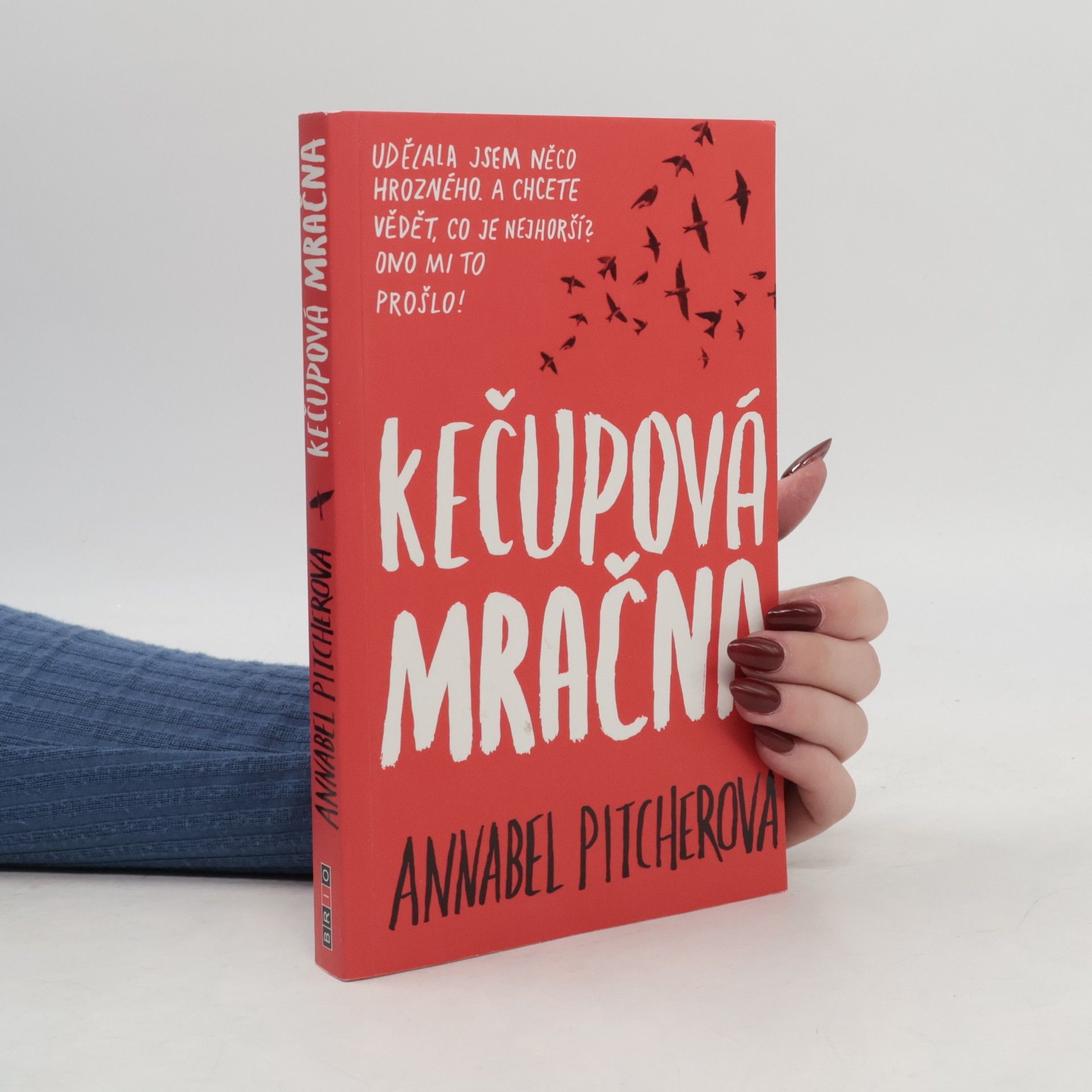 Annabel Pitcher Kečupová mračna