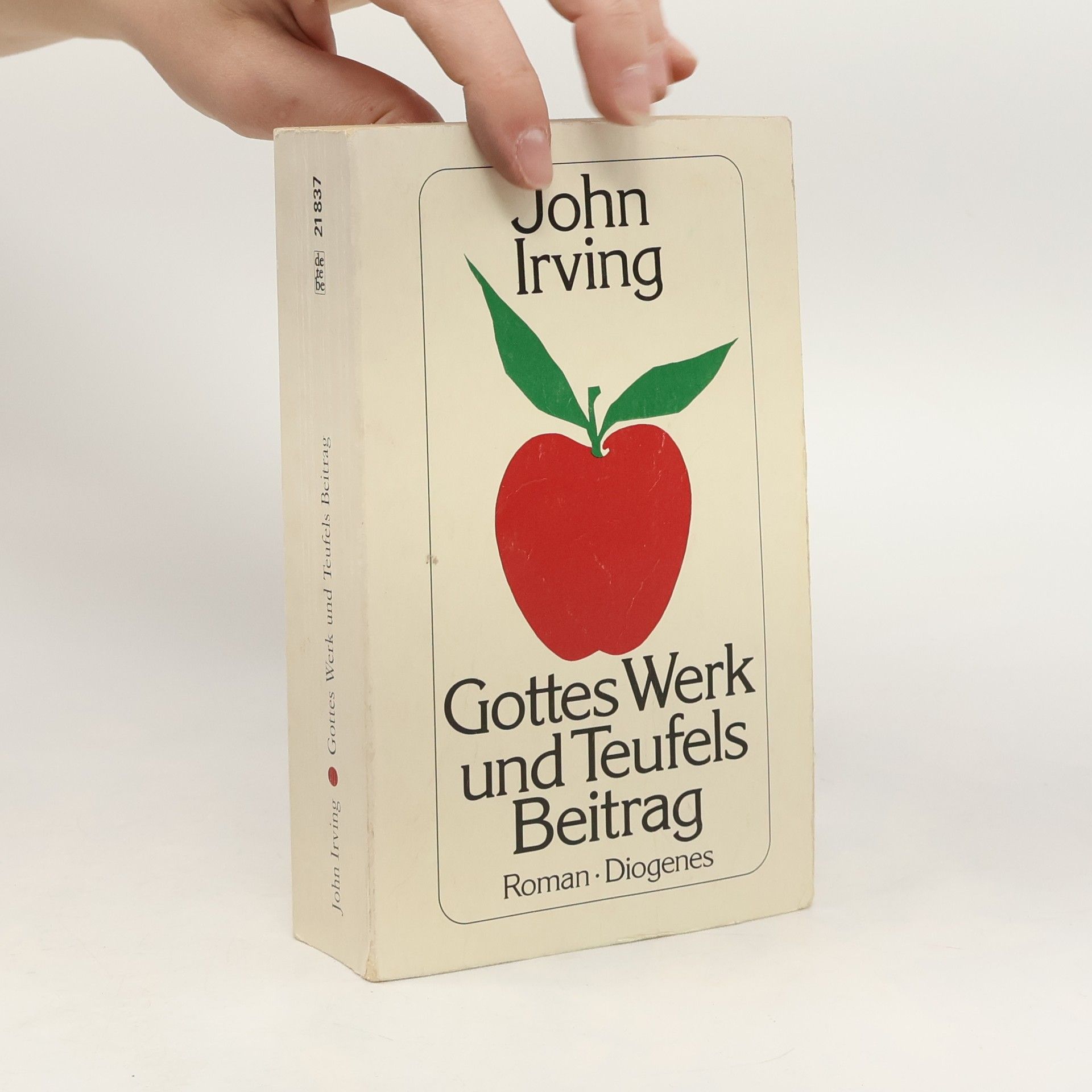 John Irving Gottes Werk und Teufels Beitrag