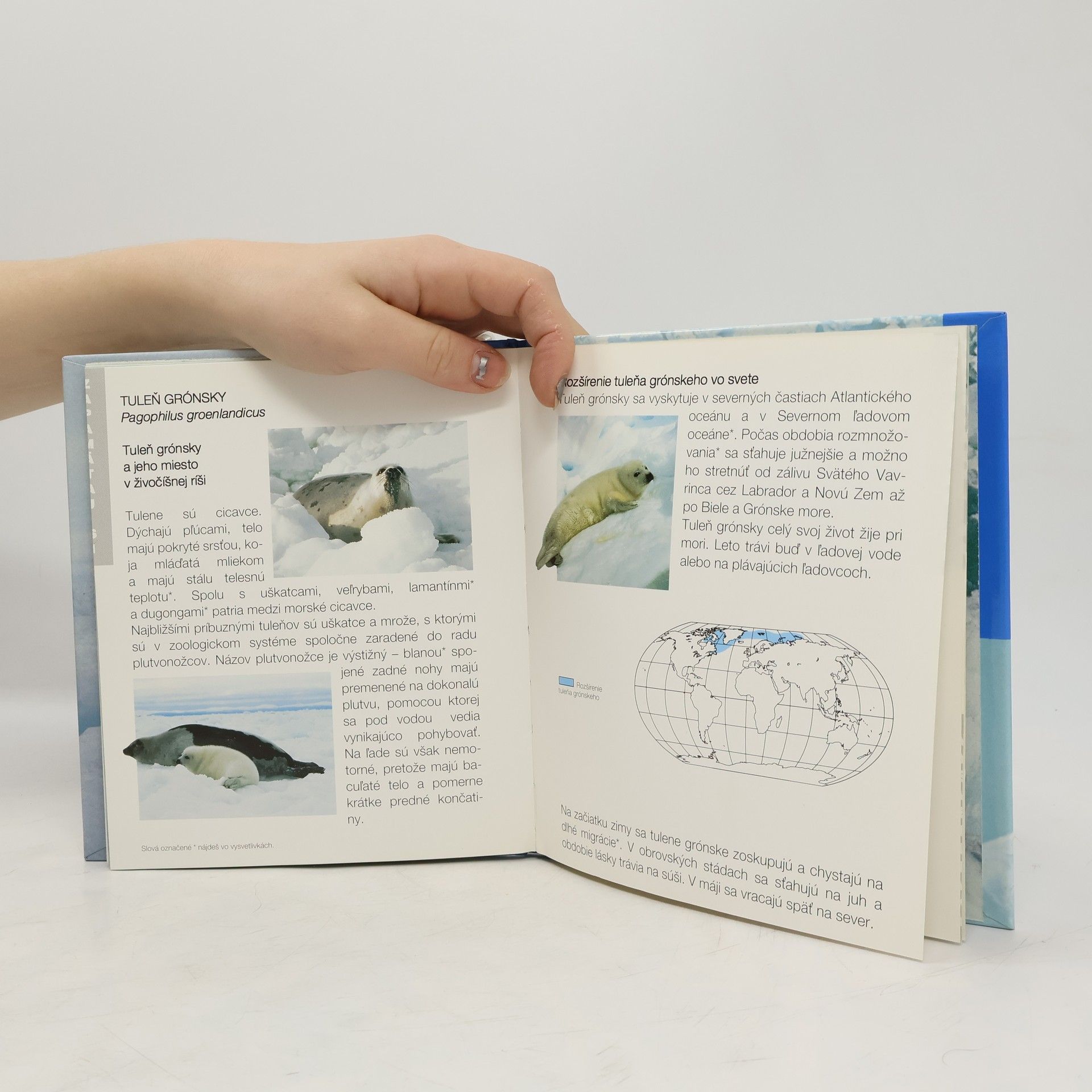Autores varios Tulene