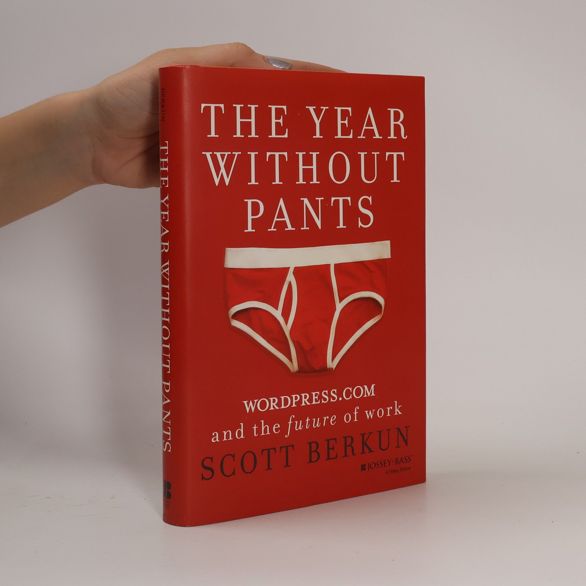 Scott Berkun The Year Without Pants