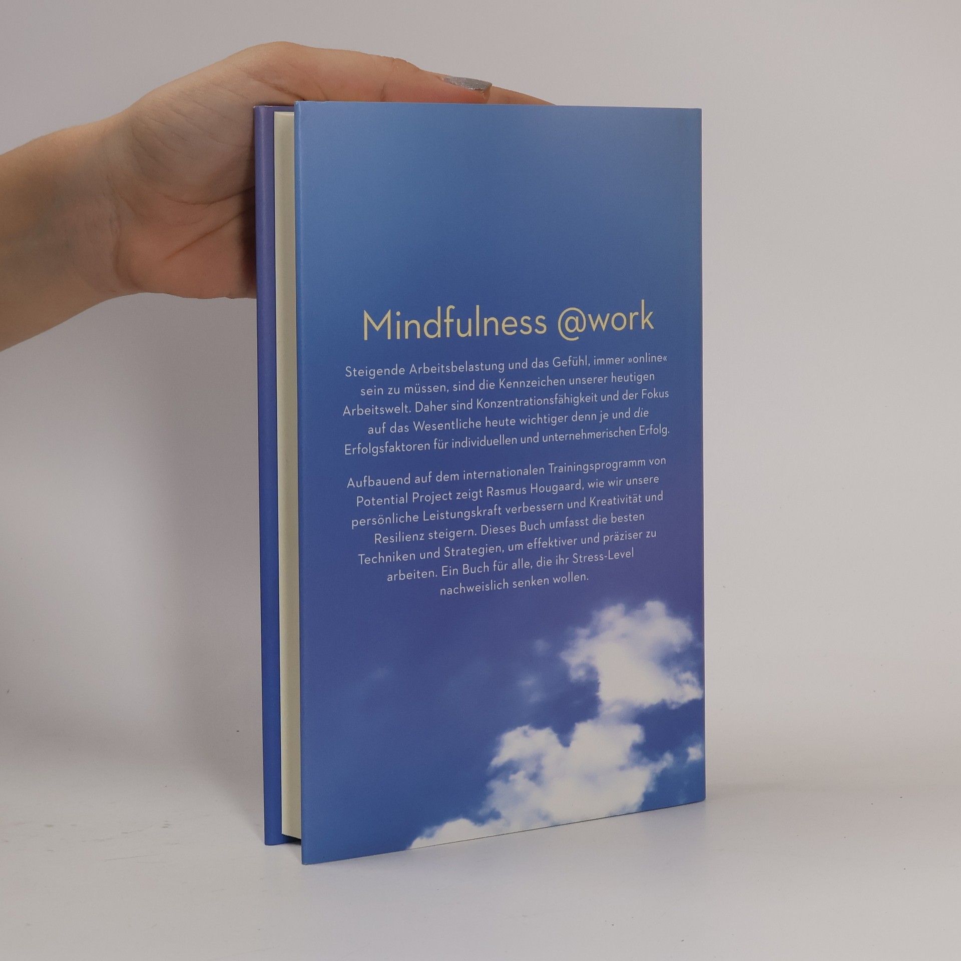 Rasmus Hougaard Mindful Business