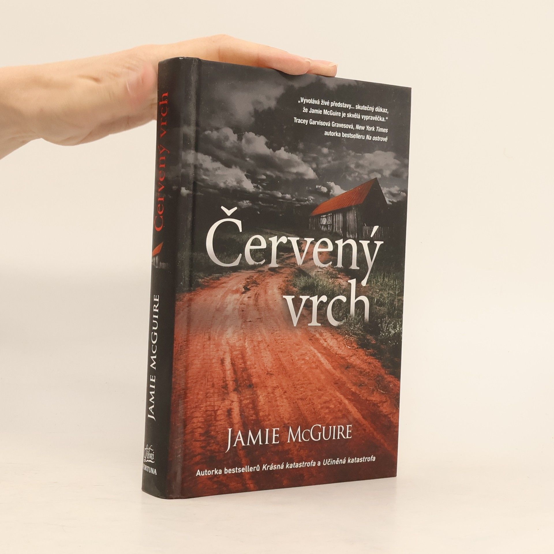 Jamie McGuire Červený vrch