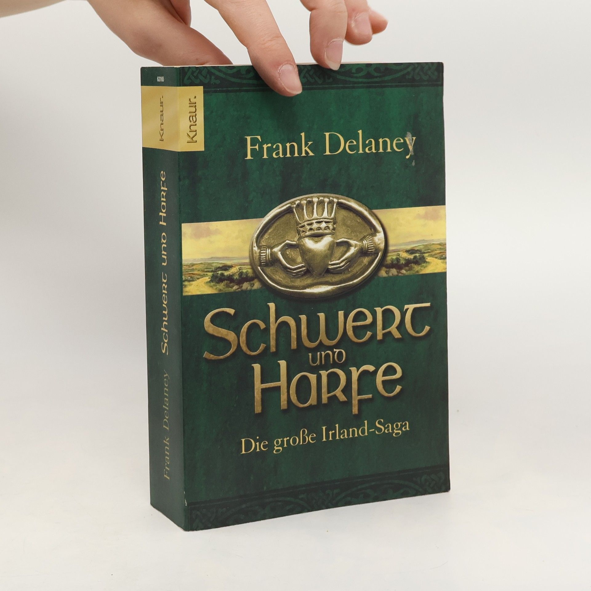 Frank Delaney Schwert und Harfe: Die grosse Irland-Saga