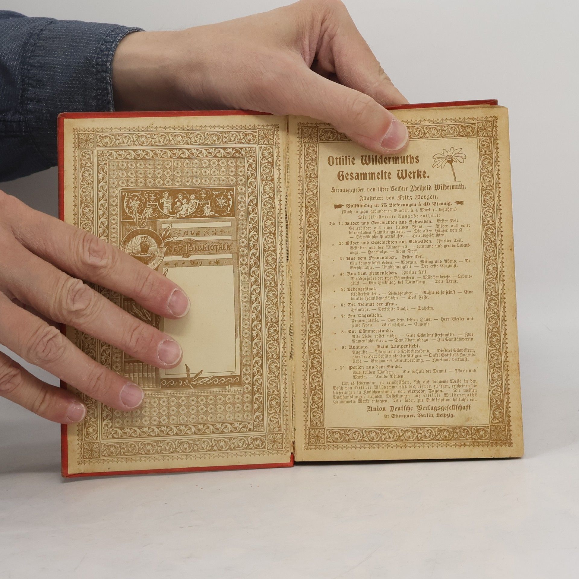 Kolektív autorov Bibliothek der Unterhaltung und des Wissens 6.