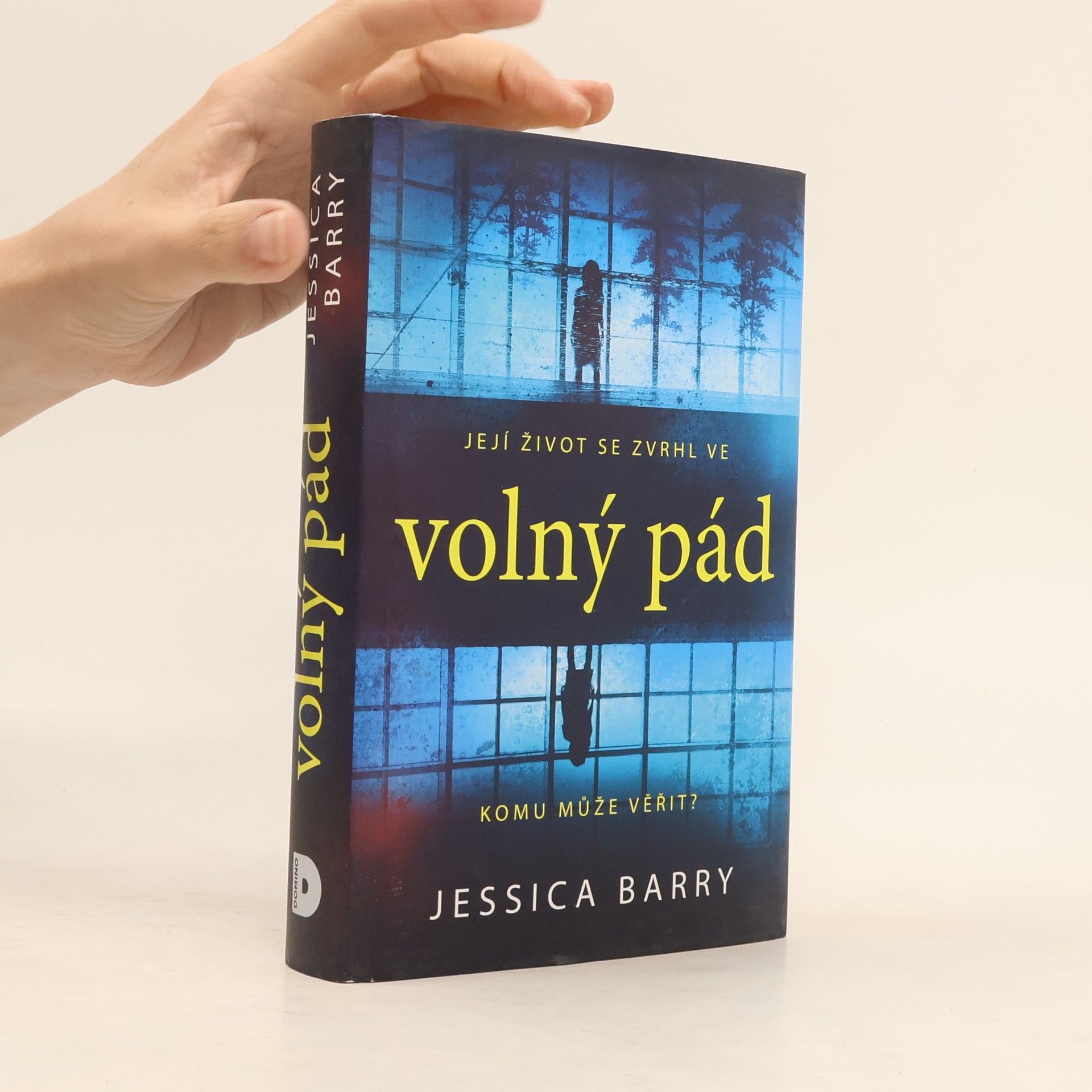 Jessica Barry Volný pád