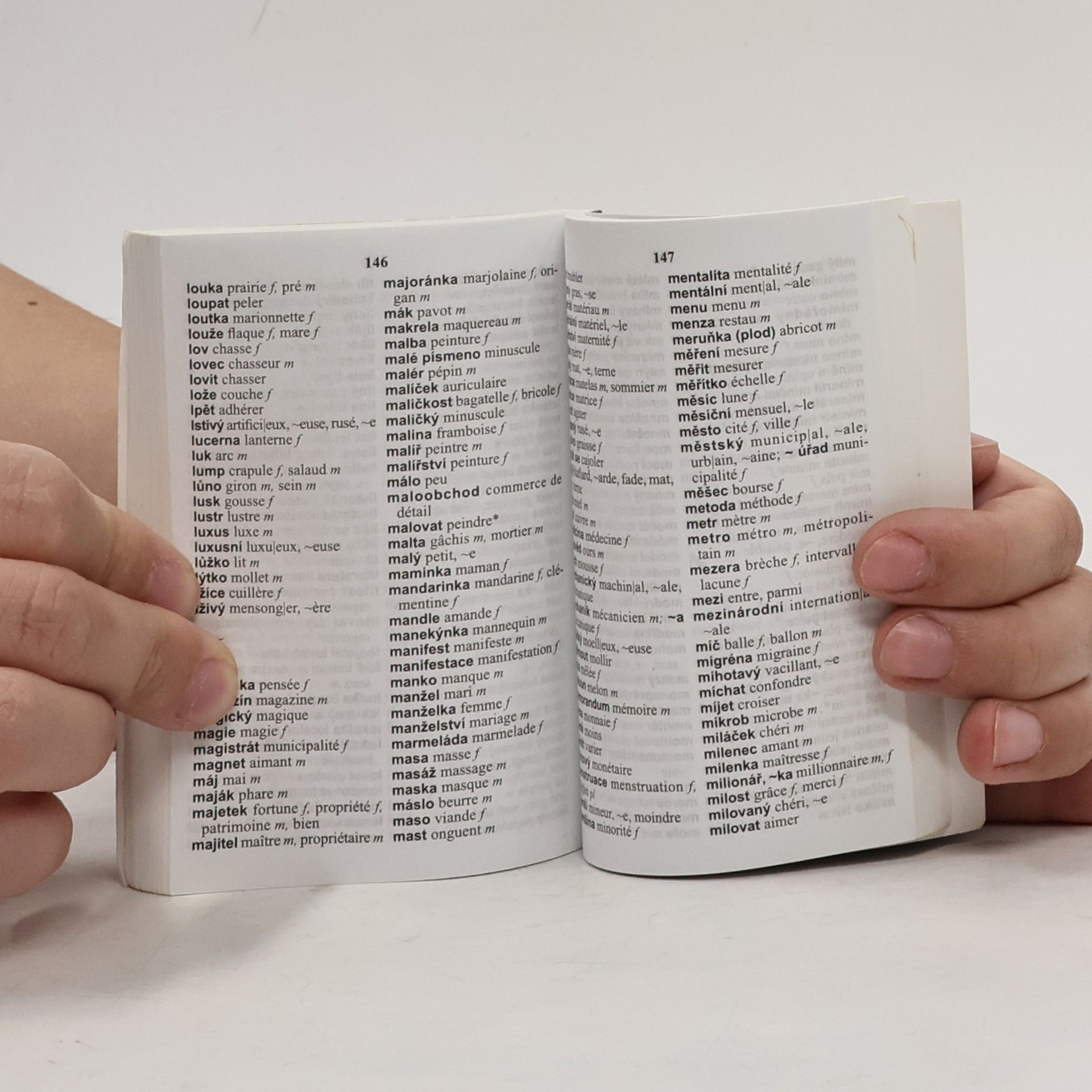 Autorenkollektiv Francouzsko-český, česko-francouzský mini slovník