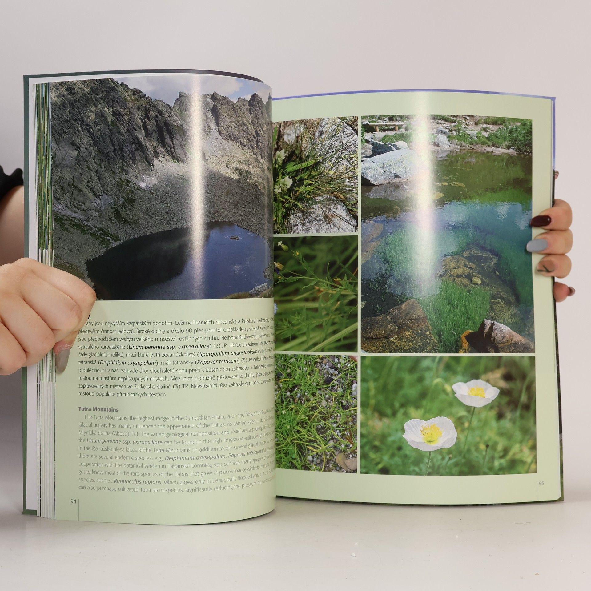 Tomáš Peš Flóra Evropy / Flora of Europe