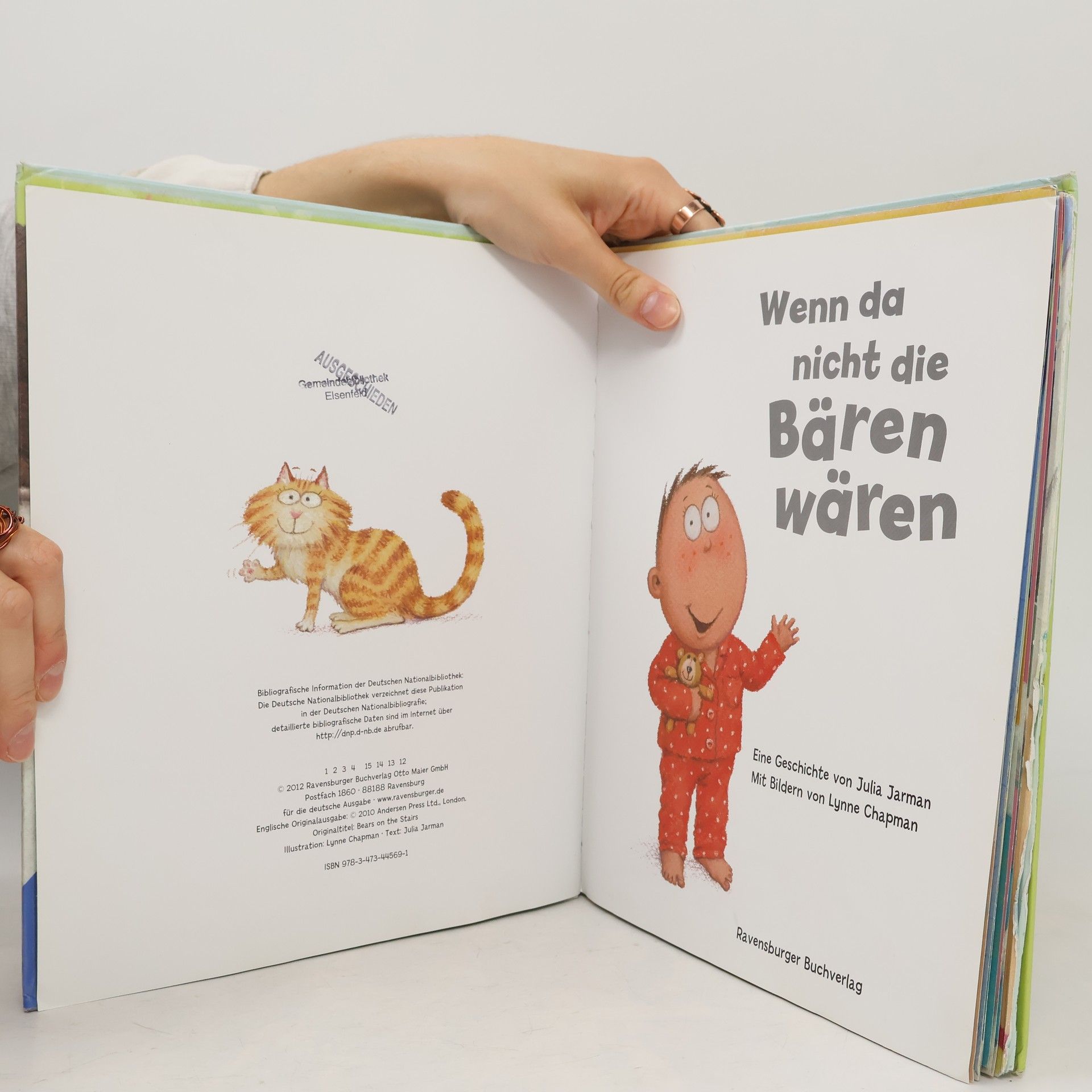 Lynne Chapman Wenn da nicht die Bären wären
