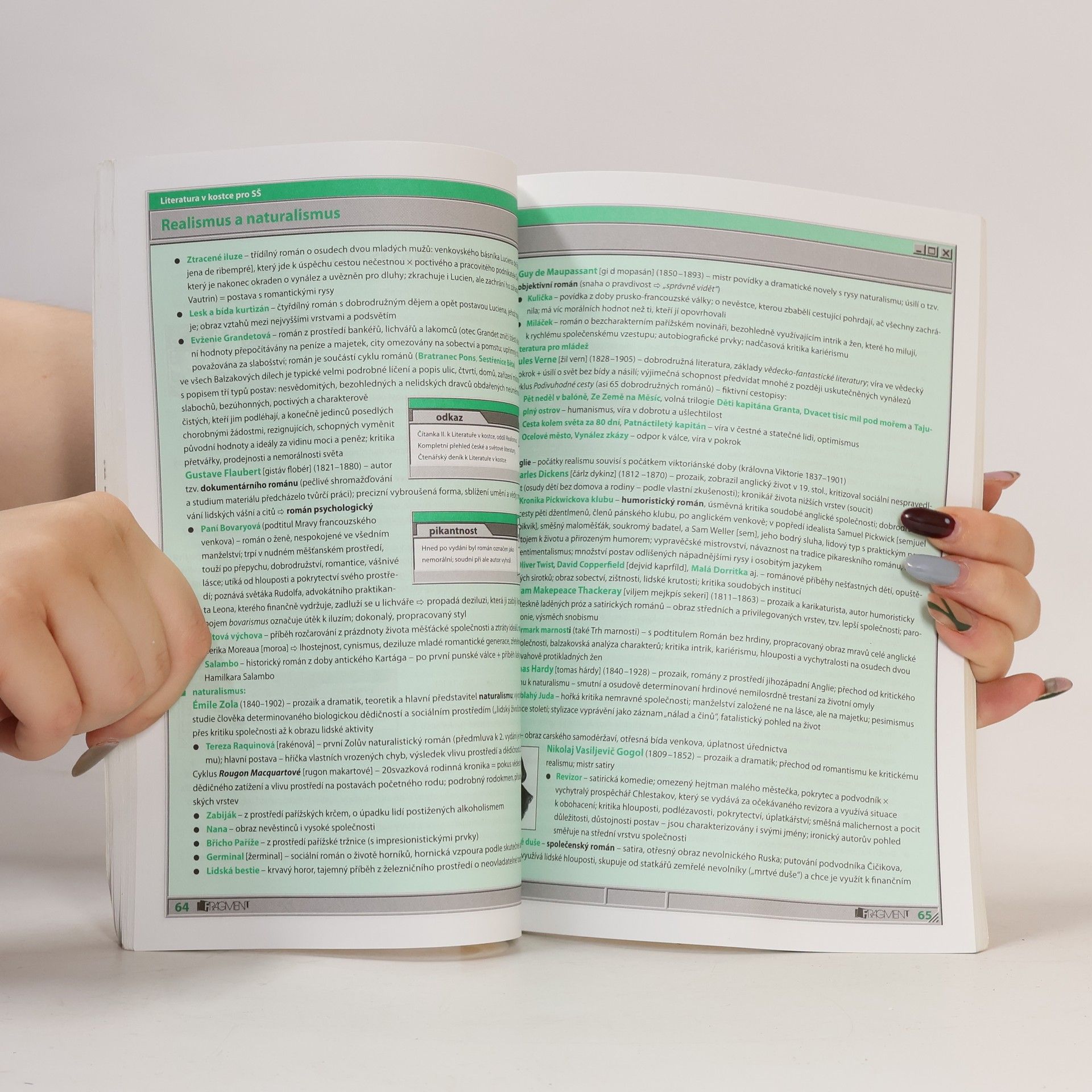 Marie Sochrová Literatura v kostce : pro střední školy