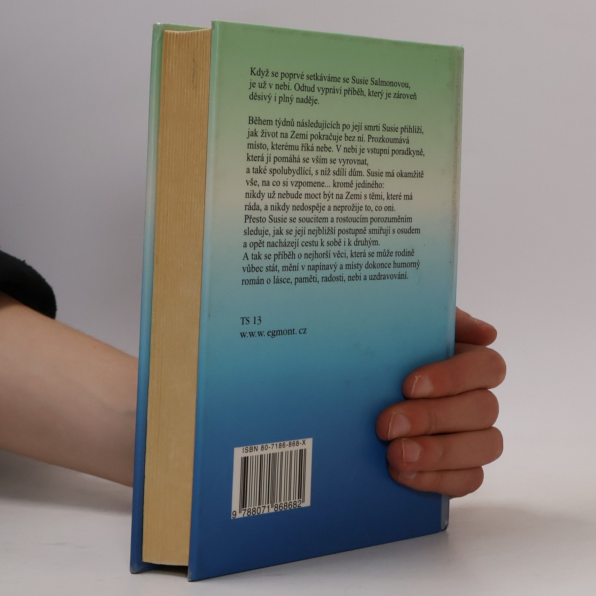 Alice Sebold Pevné pouto