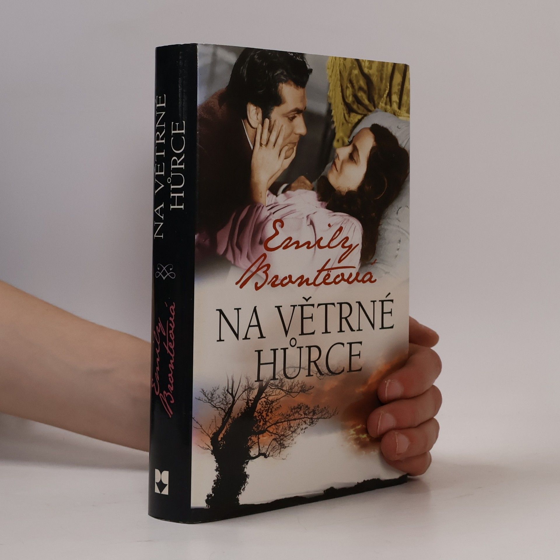 Emily Brontë Na Větrné hůrce