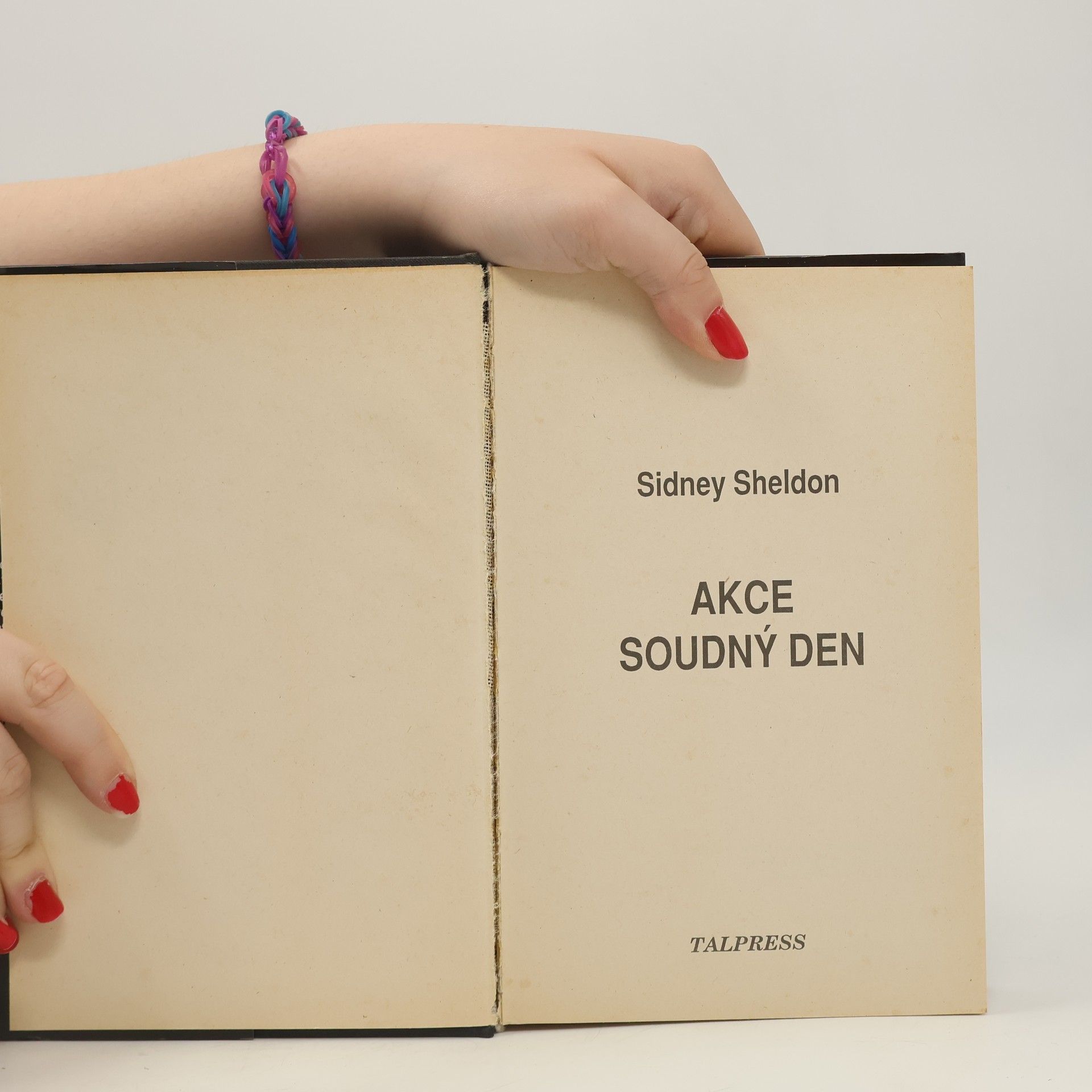 Sidney Sheldon Akce Soudný den