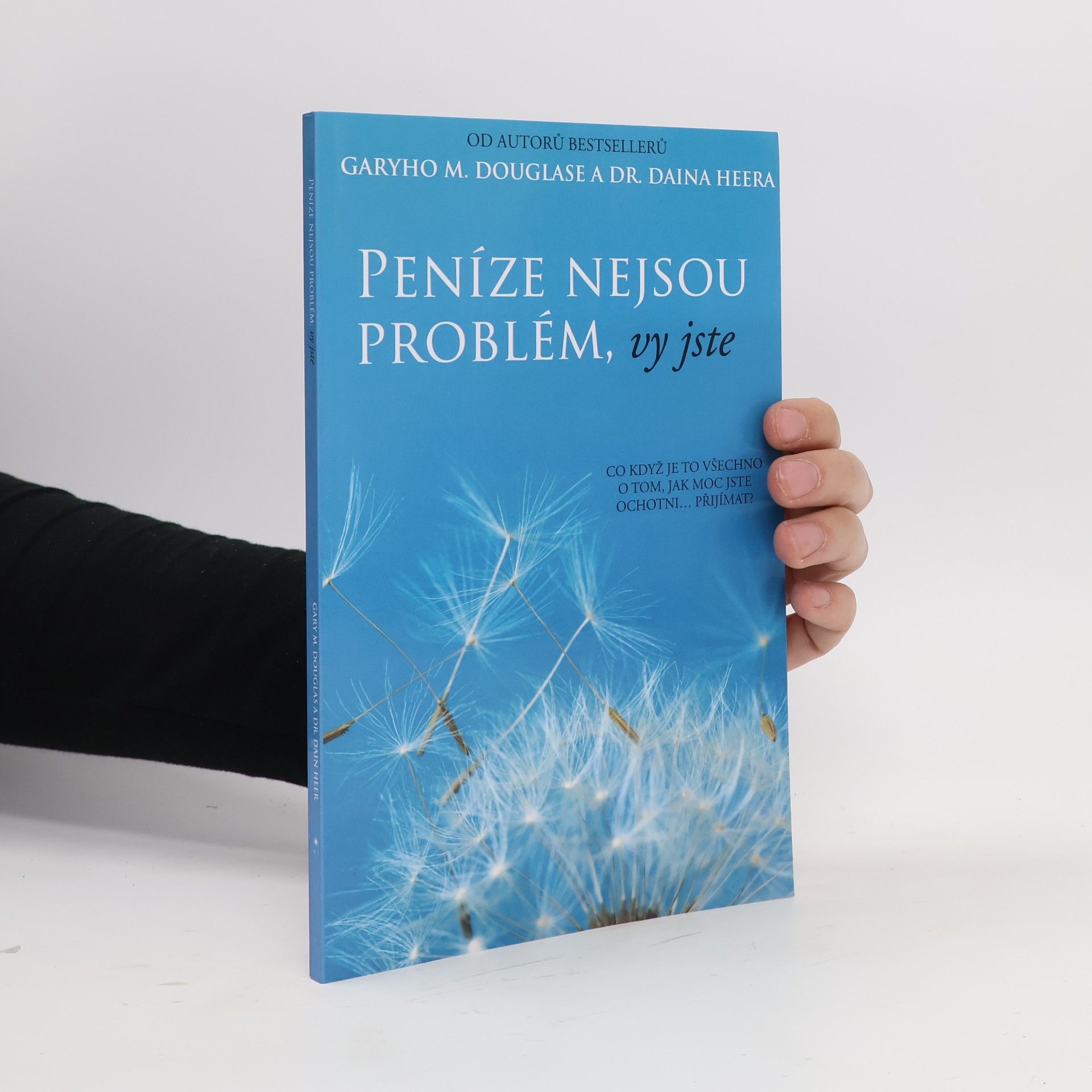 Dain Heer Peníze nejsou problém, vy jste