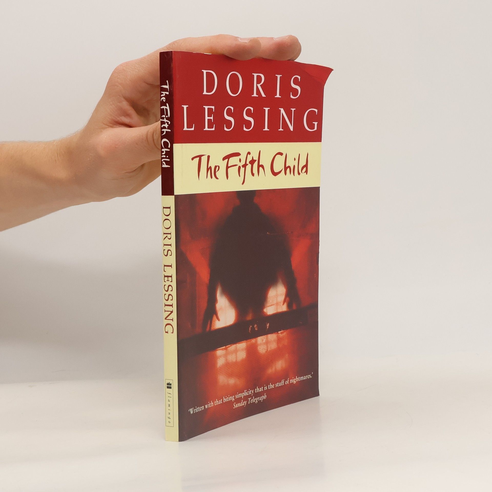 Doris Lessing The fifth child
