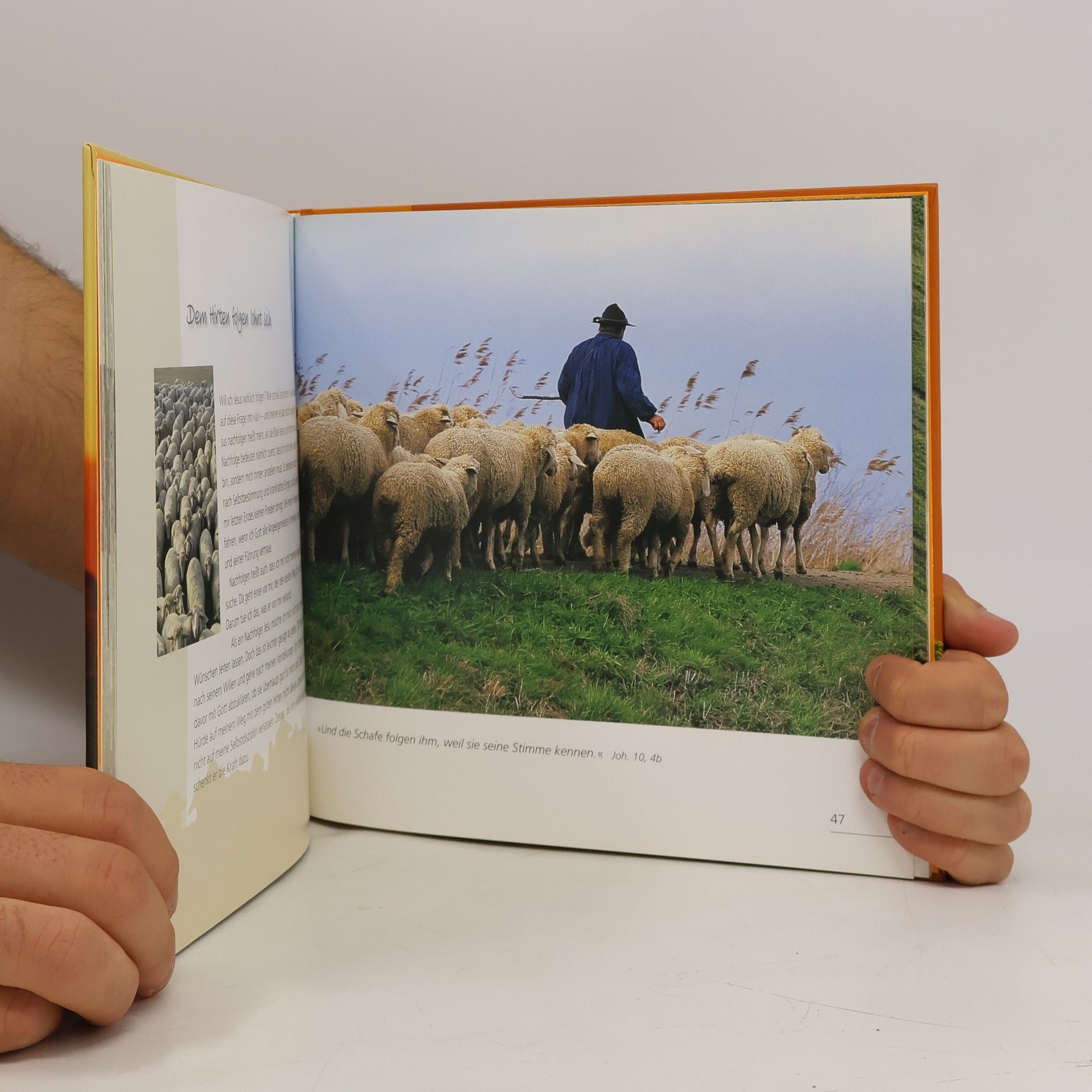 Karl Heinz Nill Der gute Hirte und Psalm 23