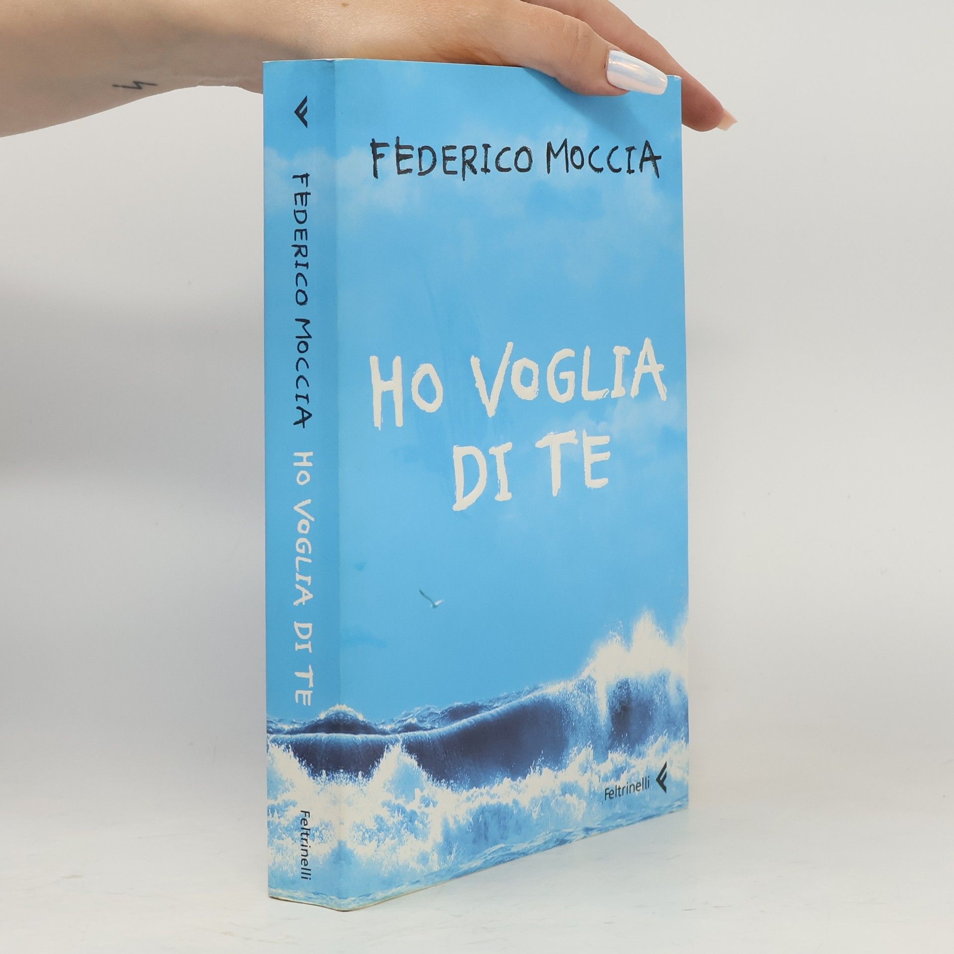 Federico Moccia Ho voglia di te