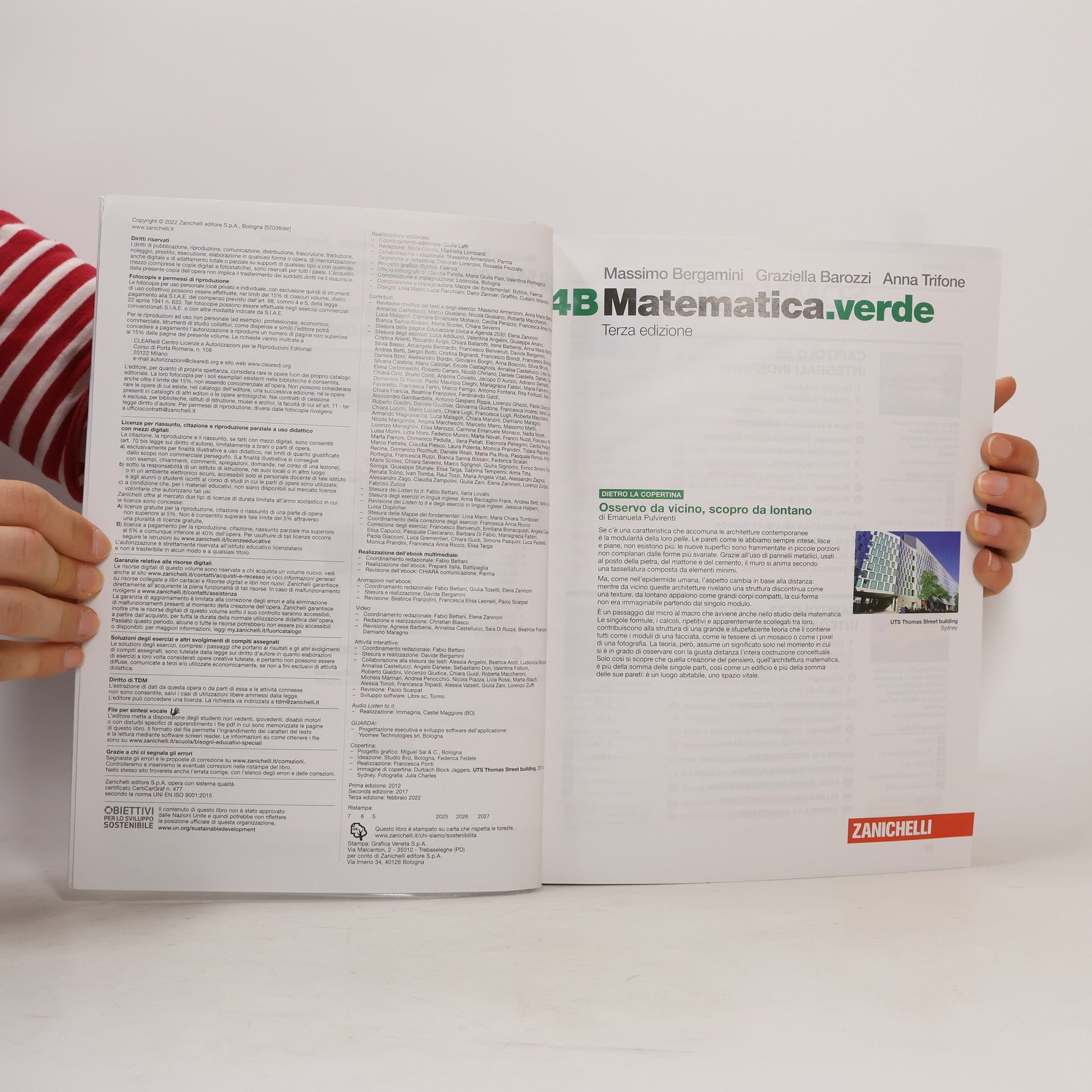 Massimo Bergamini 4B Matematica.verde
