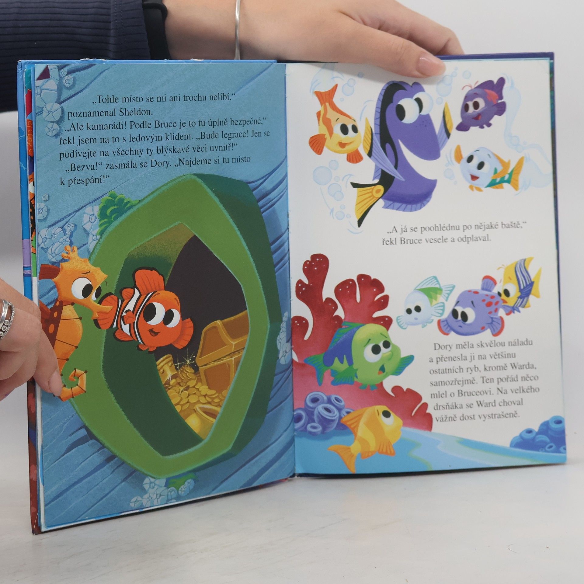 Walt Disney Hledá se Nemo-Školní výlet