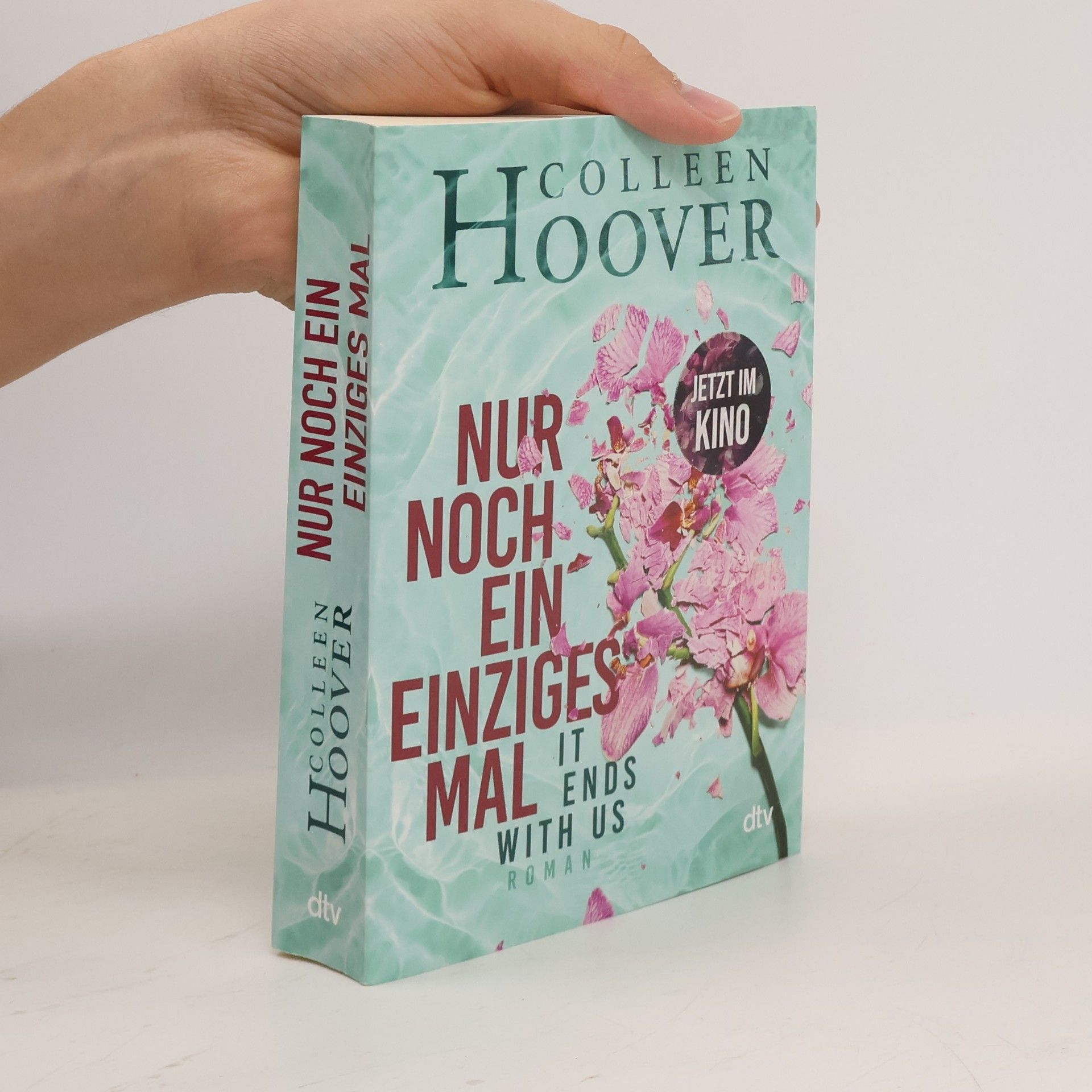 Colleen Hoover Nur noch ein einziges Mal