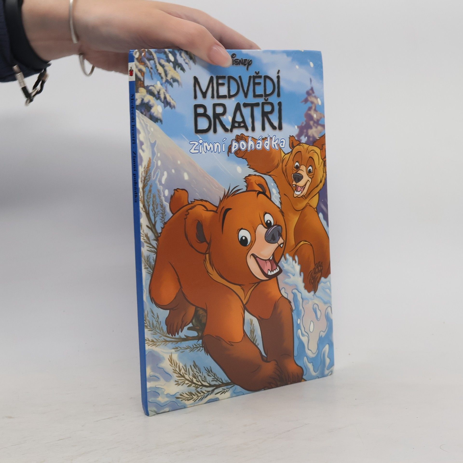 Walt Disney Medvědí bratři. Zimní pohádka