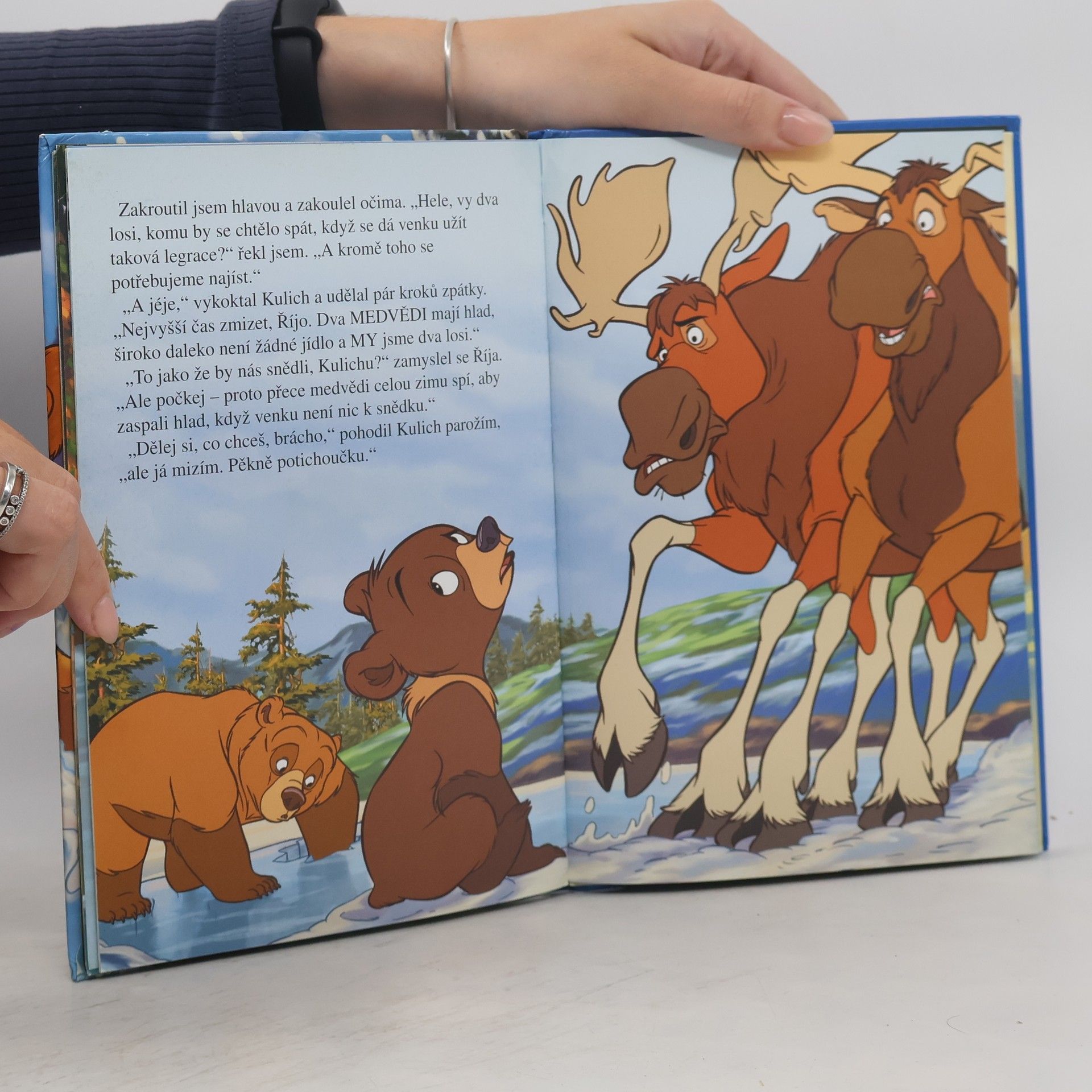 Walt Disney Medvědí bratři. Zimní pohádka
