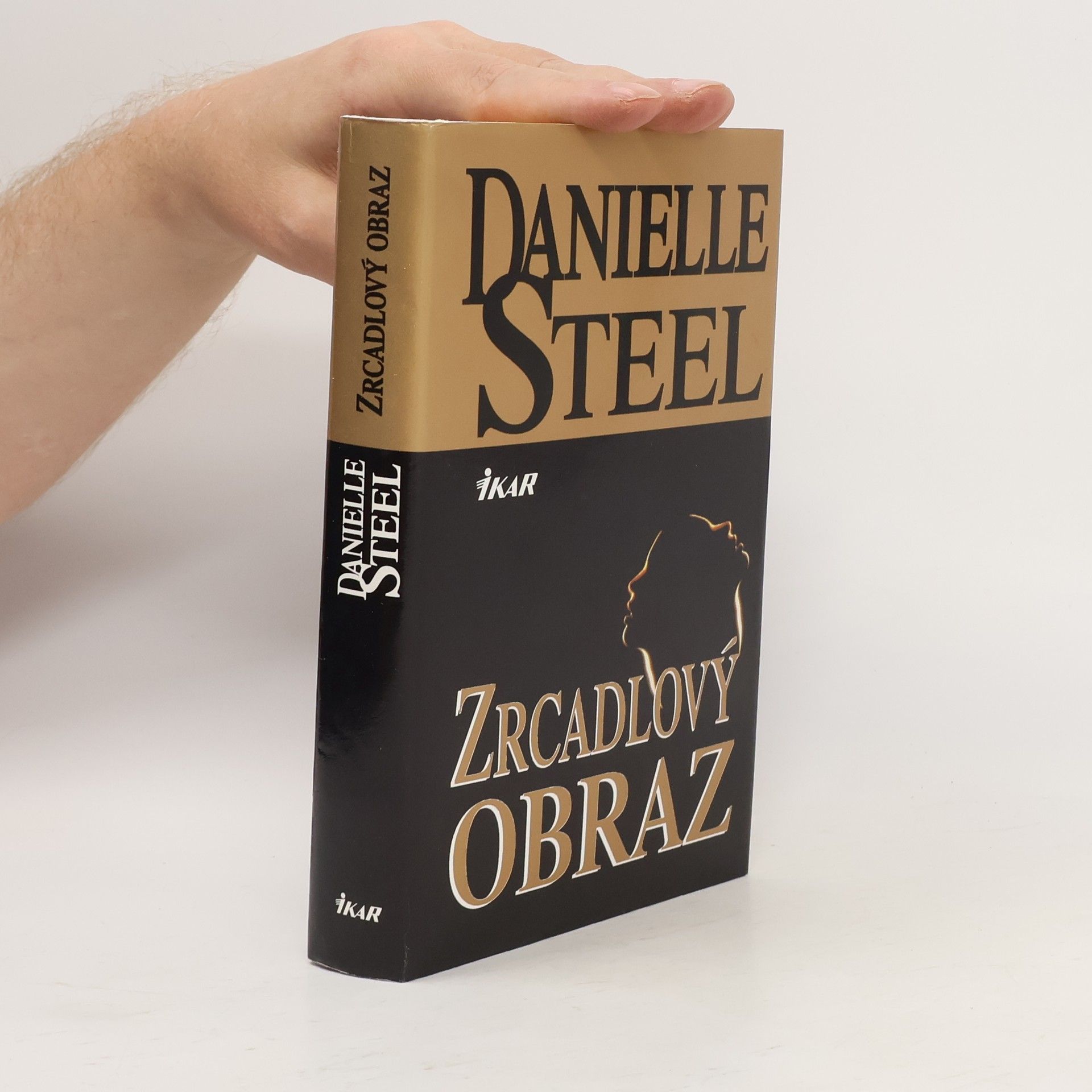 Danielle Steel Zrcadlový obraz