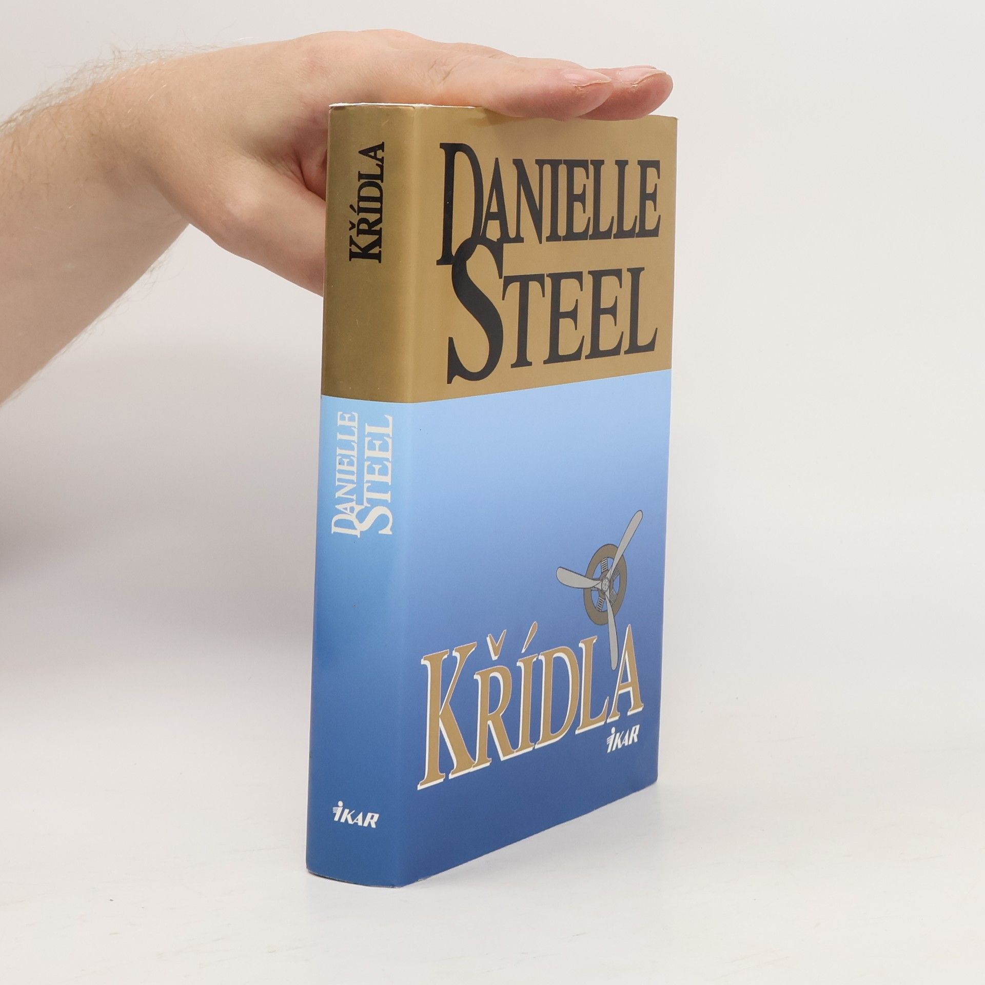 Danielle Steel Křídla