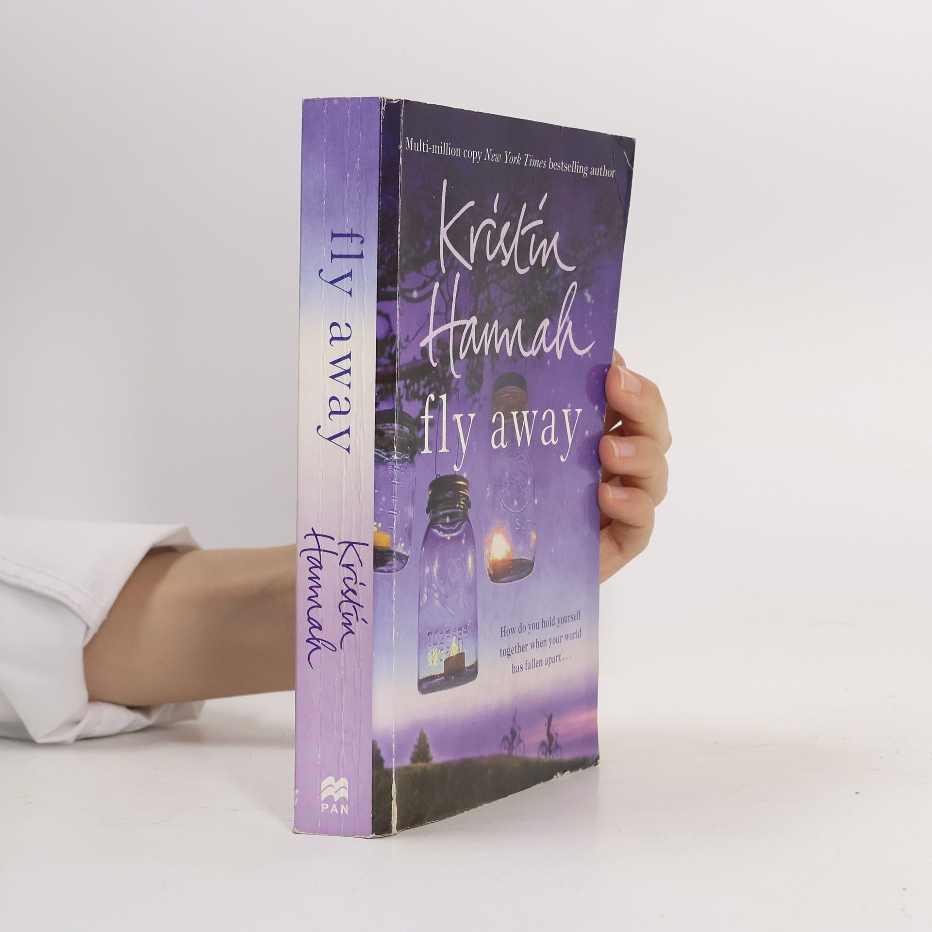 Kristin Hannah Fly Away