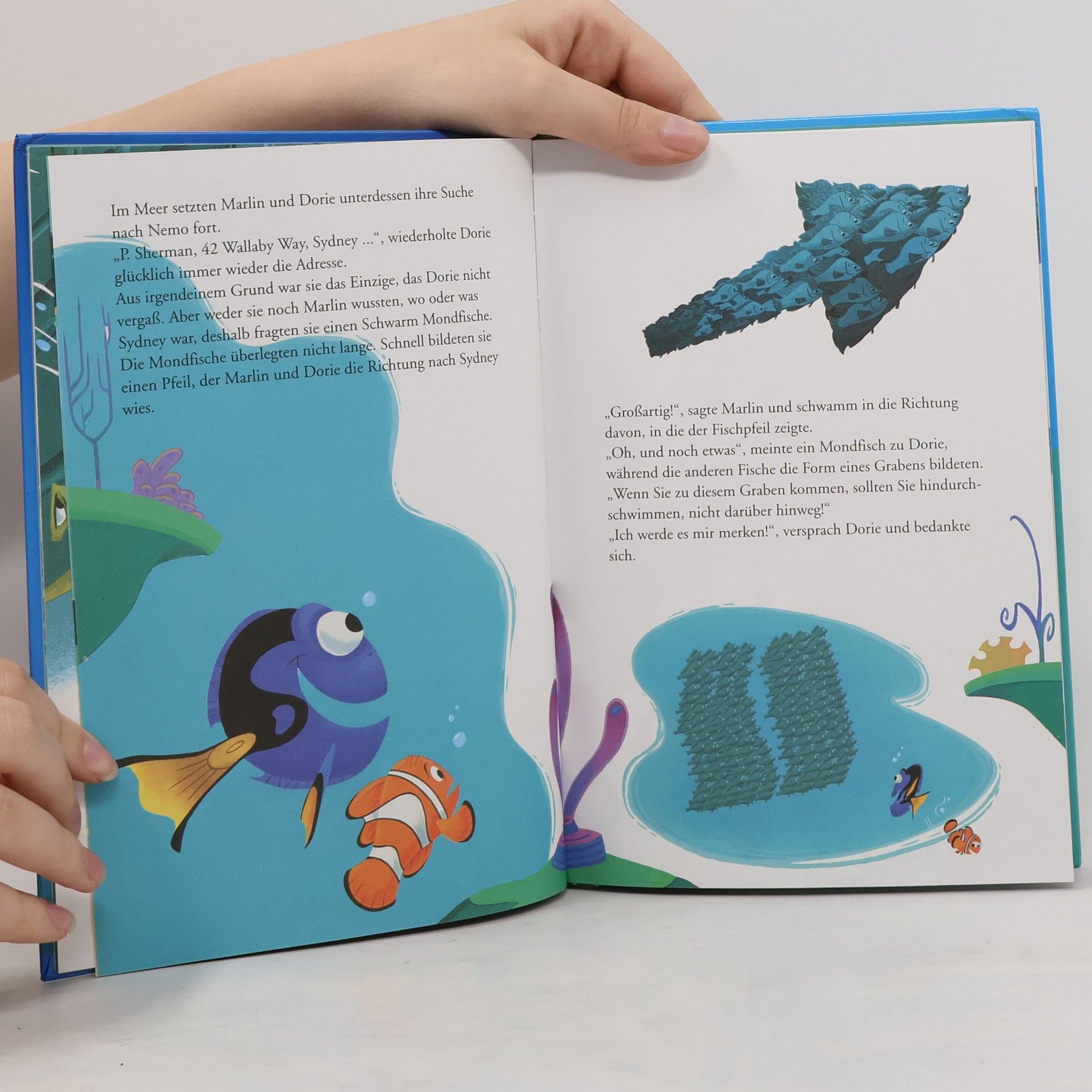 Kolektiv autorů Findet Nemo
