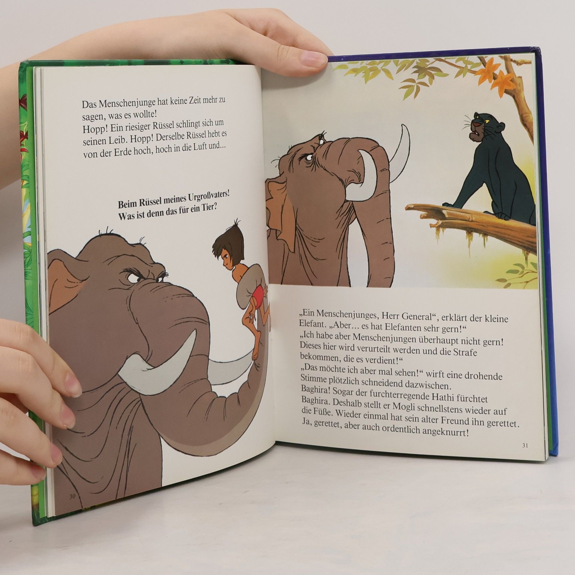 Walt Disney Das Dschungelbuch