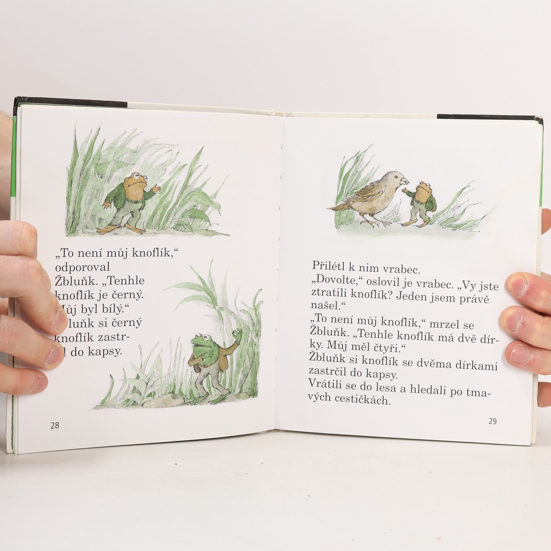 Arnold Lobel Kvak a Žbluňk jsou kamarádi