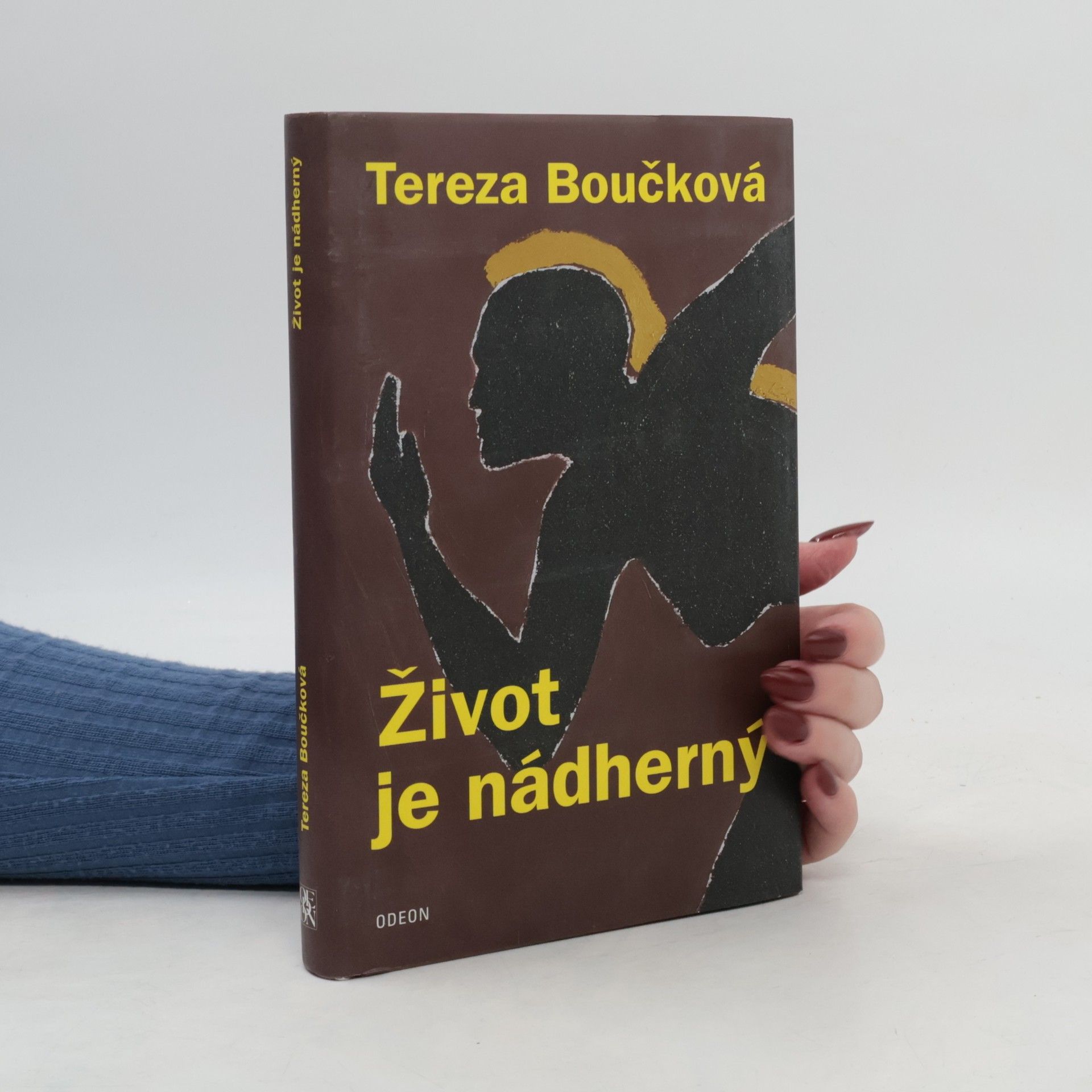 Tereza Boučková Život je nádherný