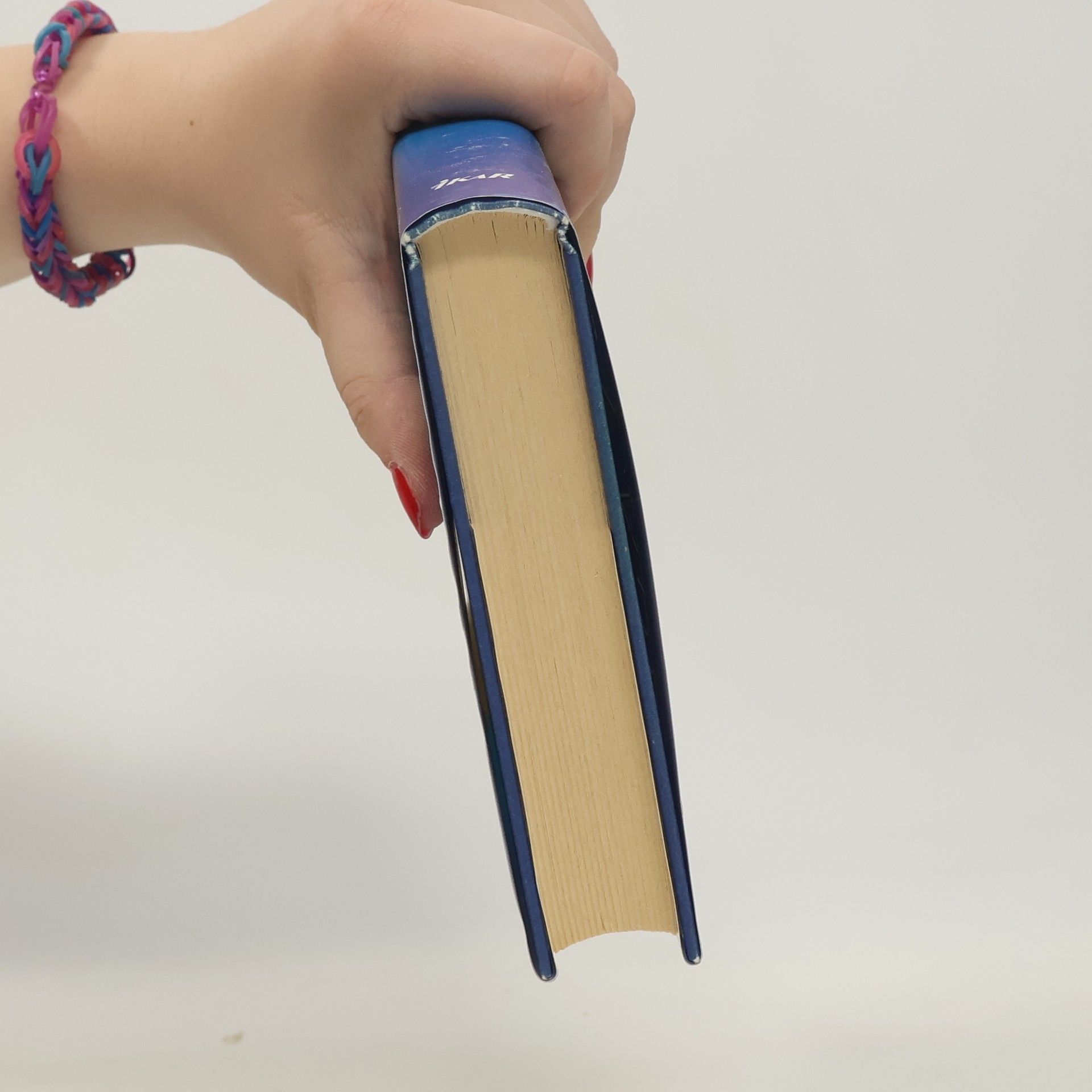 Danielle Steel Hořkost lásky