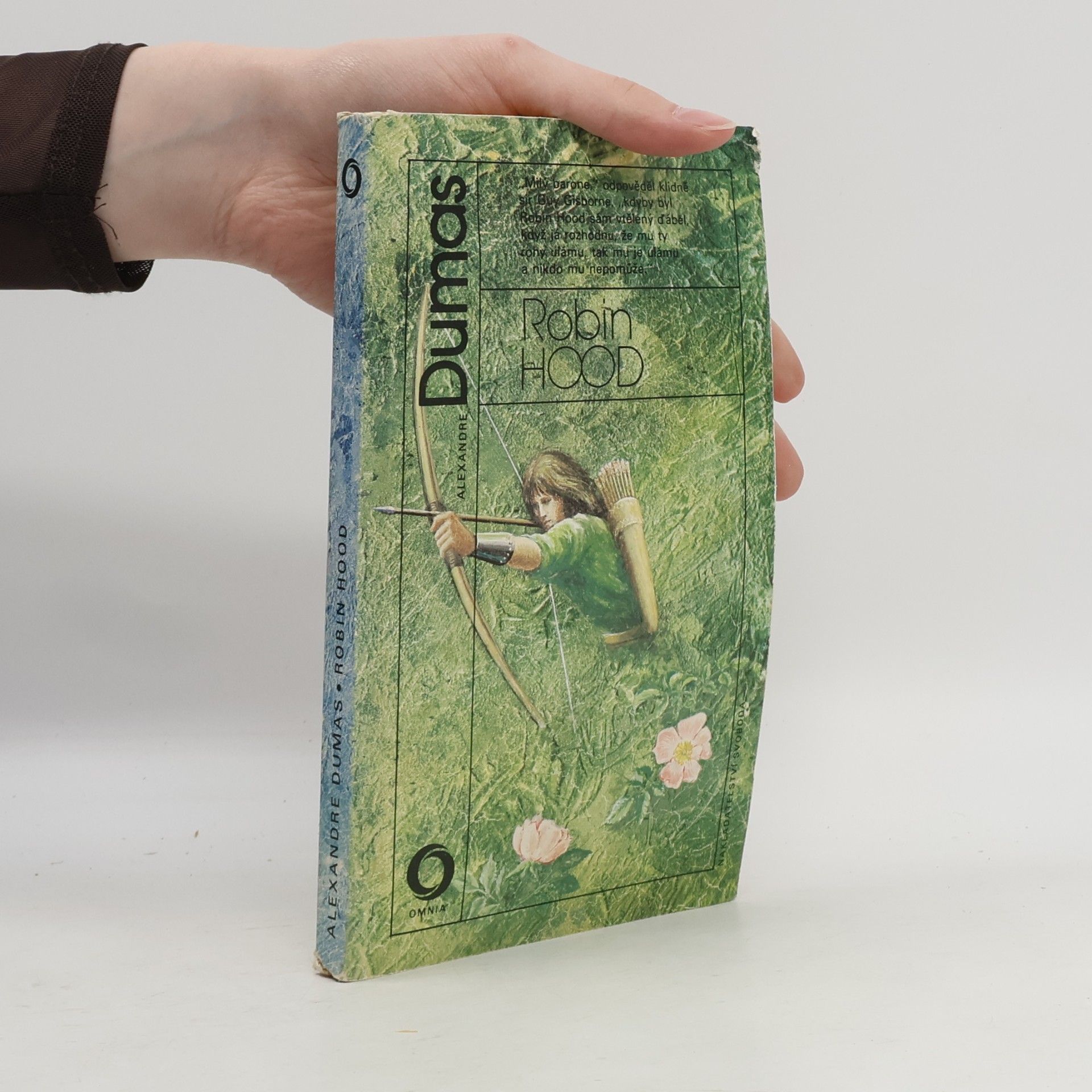 Alexandre Dumas Robin Hood