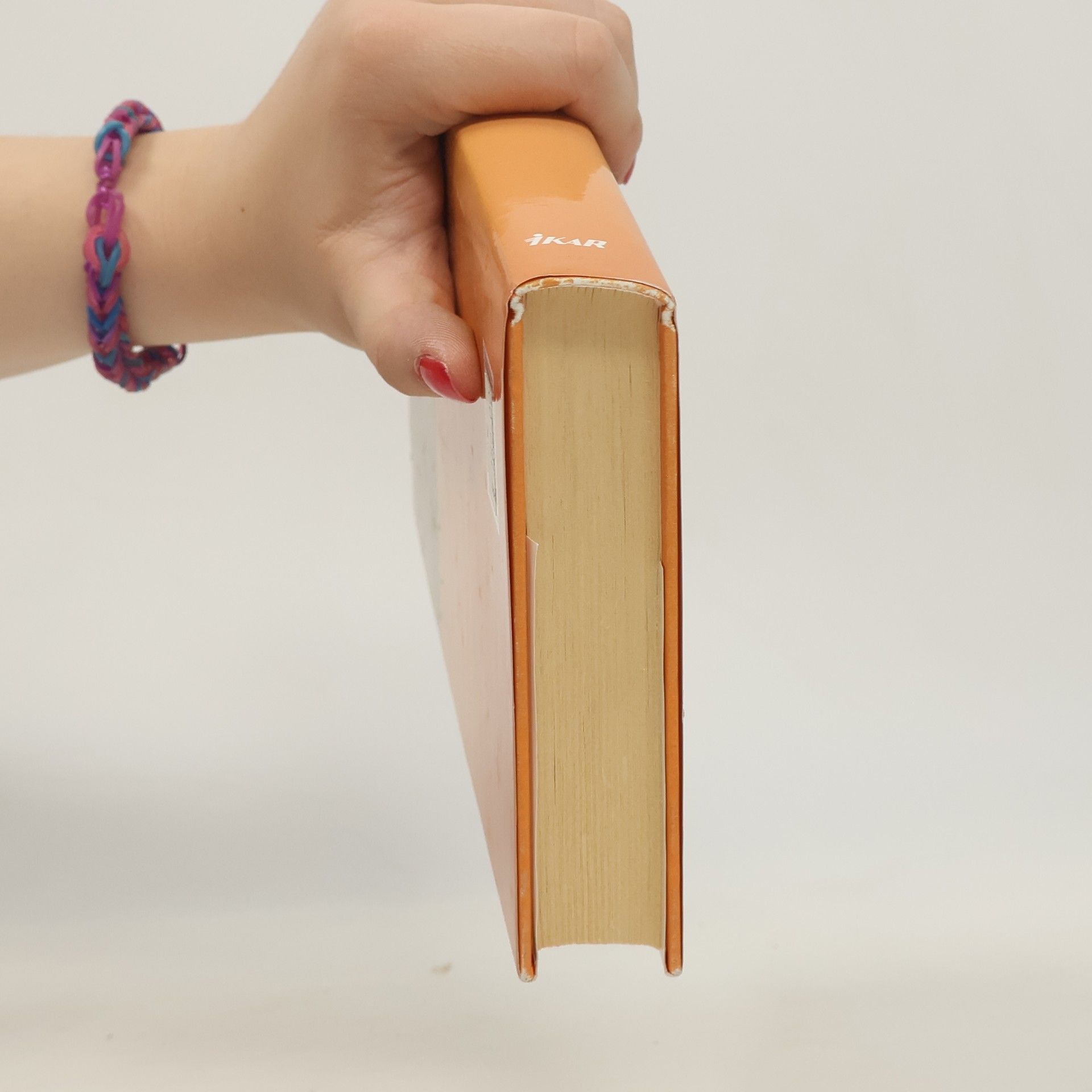 Danielle Steel Vášnivá sezona