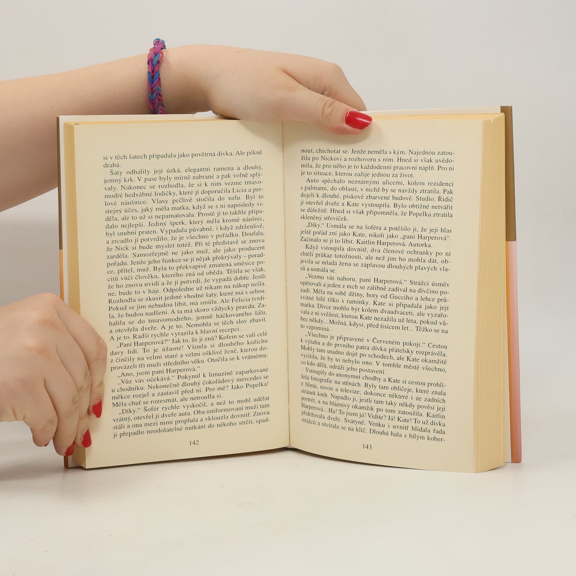 Danielle Steel Vášnivá sezona