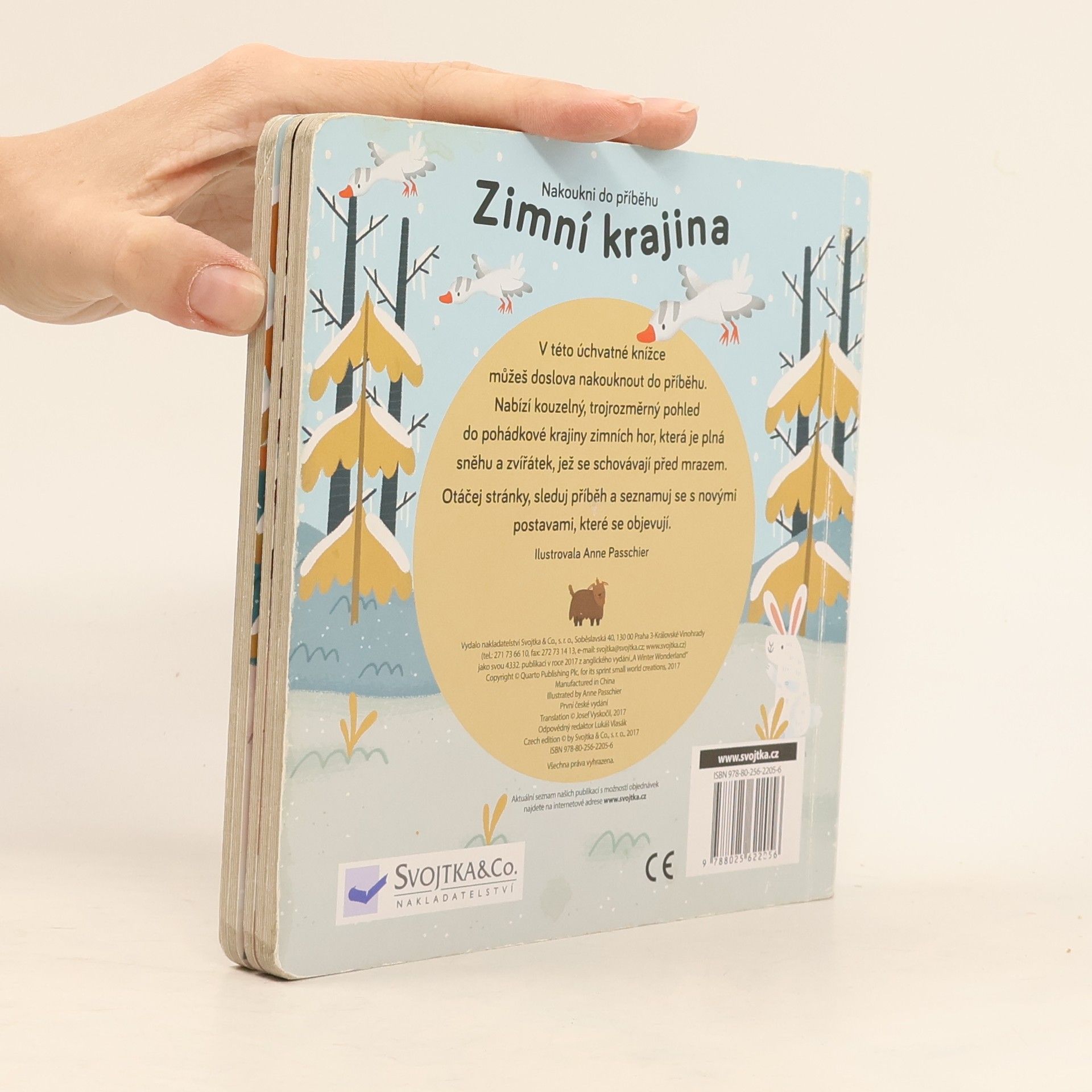 Anne Passchier Zimní krajina. Kdo žije v zasněžených horách?