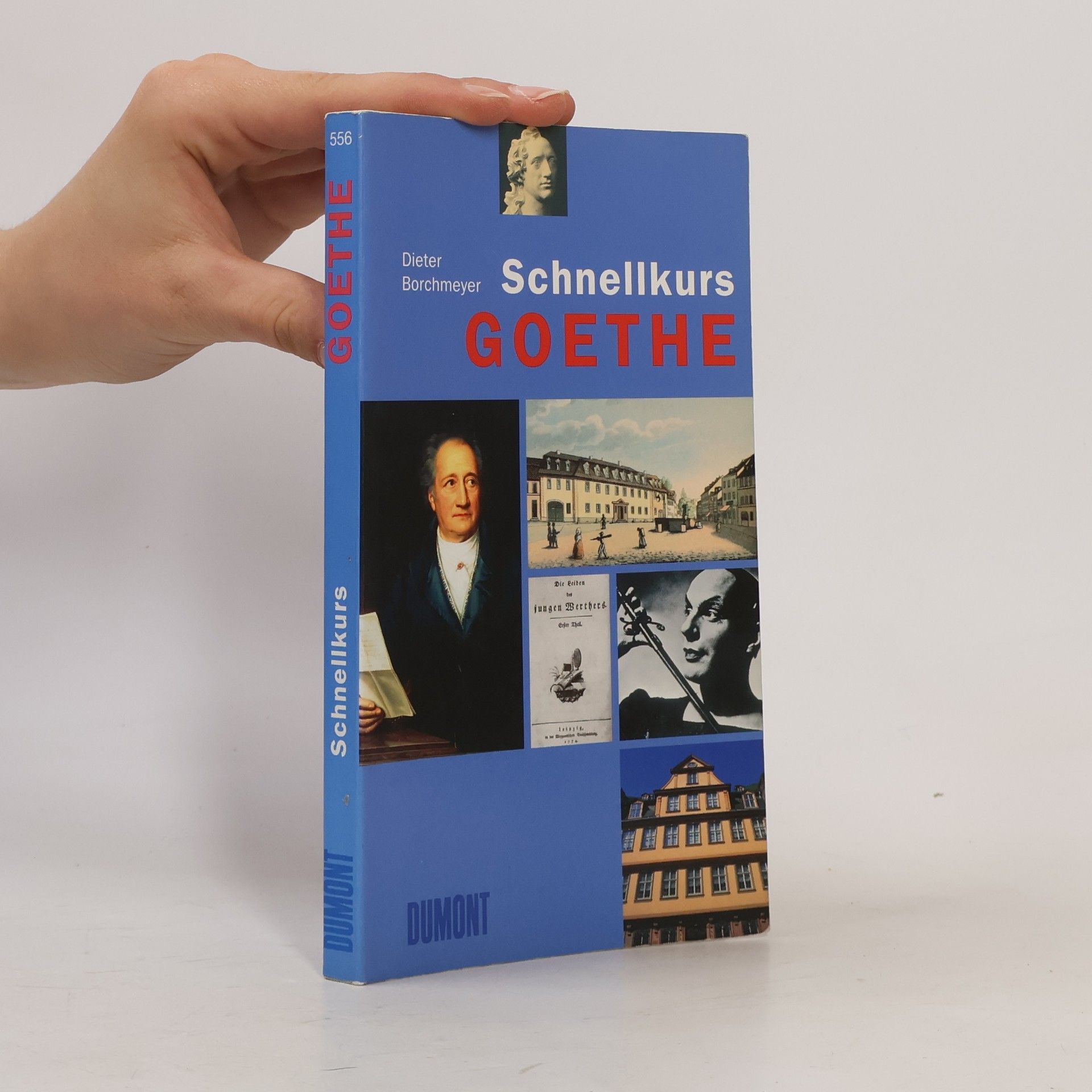 Dieter Borchmeyer Goethe