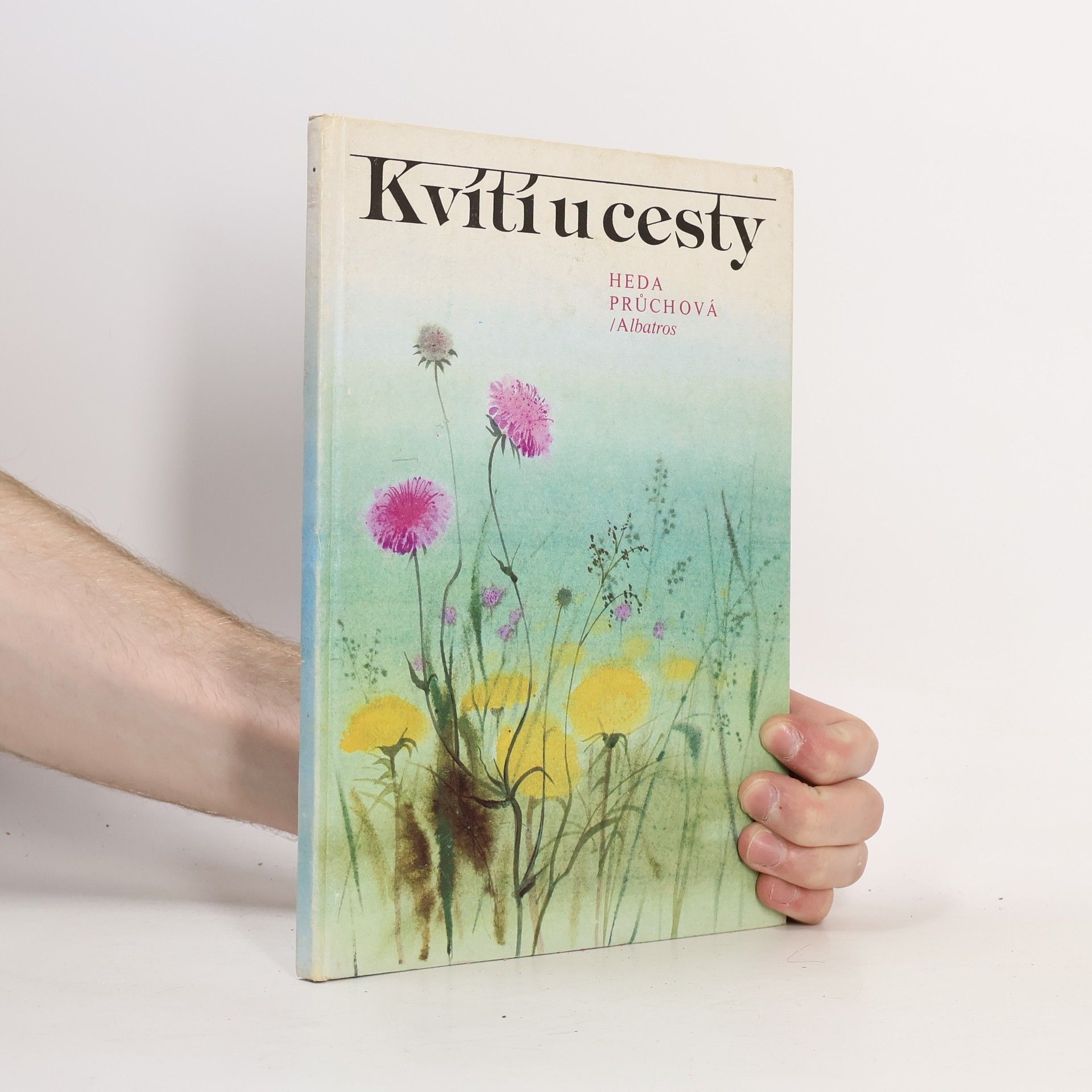 Průchová Heda Kvítí u cesty