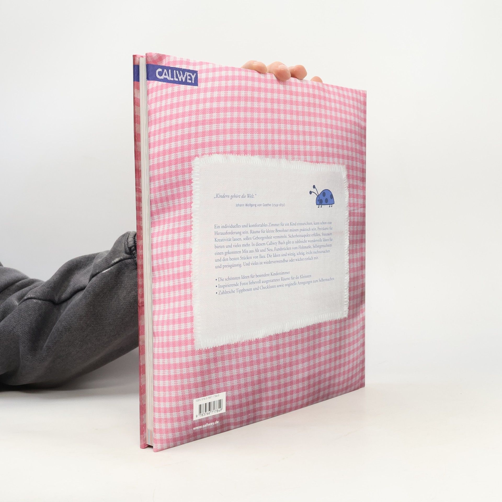 Jana Jung Das Kinderzimmerbuch