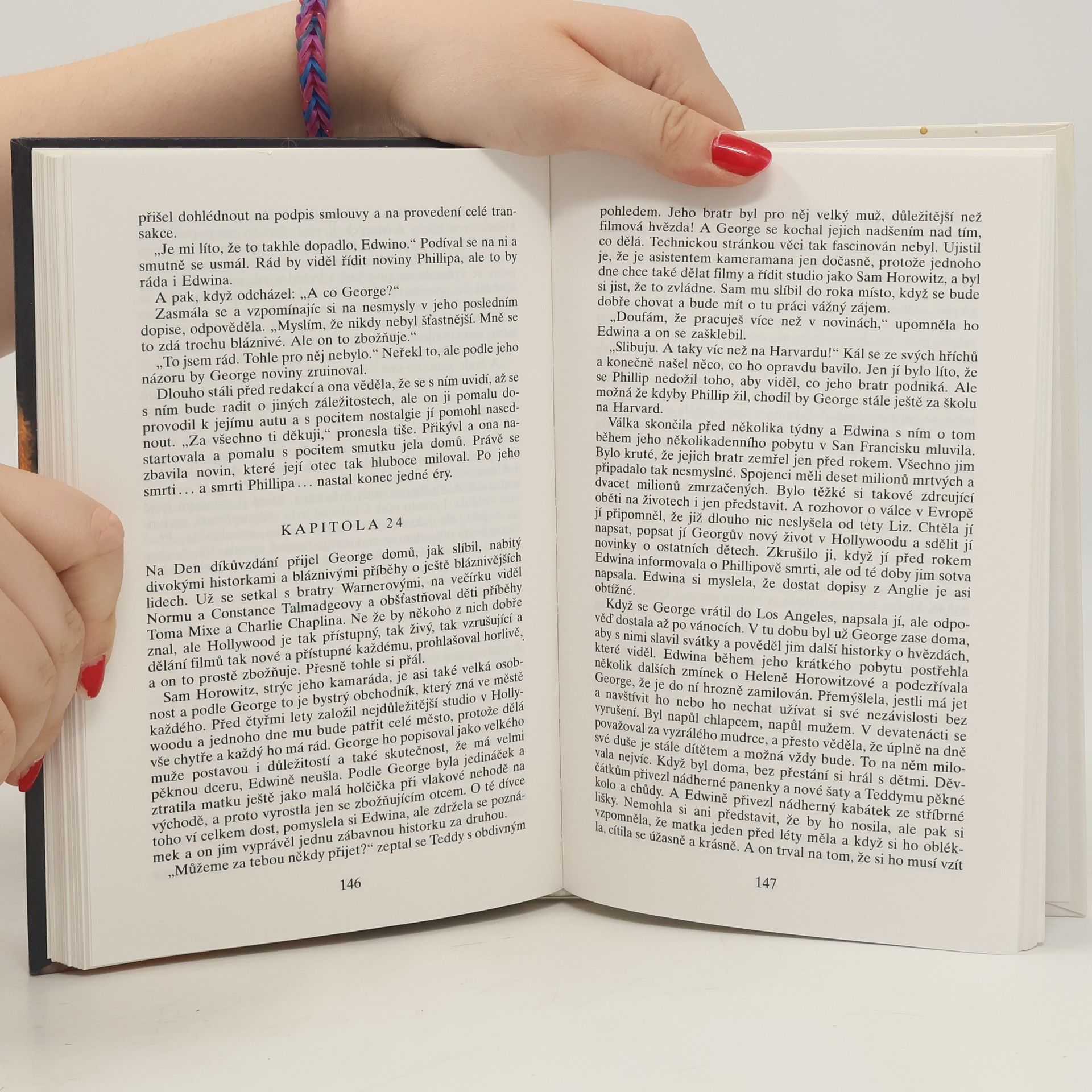 Danielle Steel Nevýslovná láska