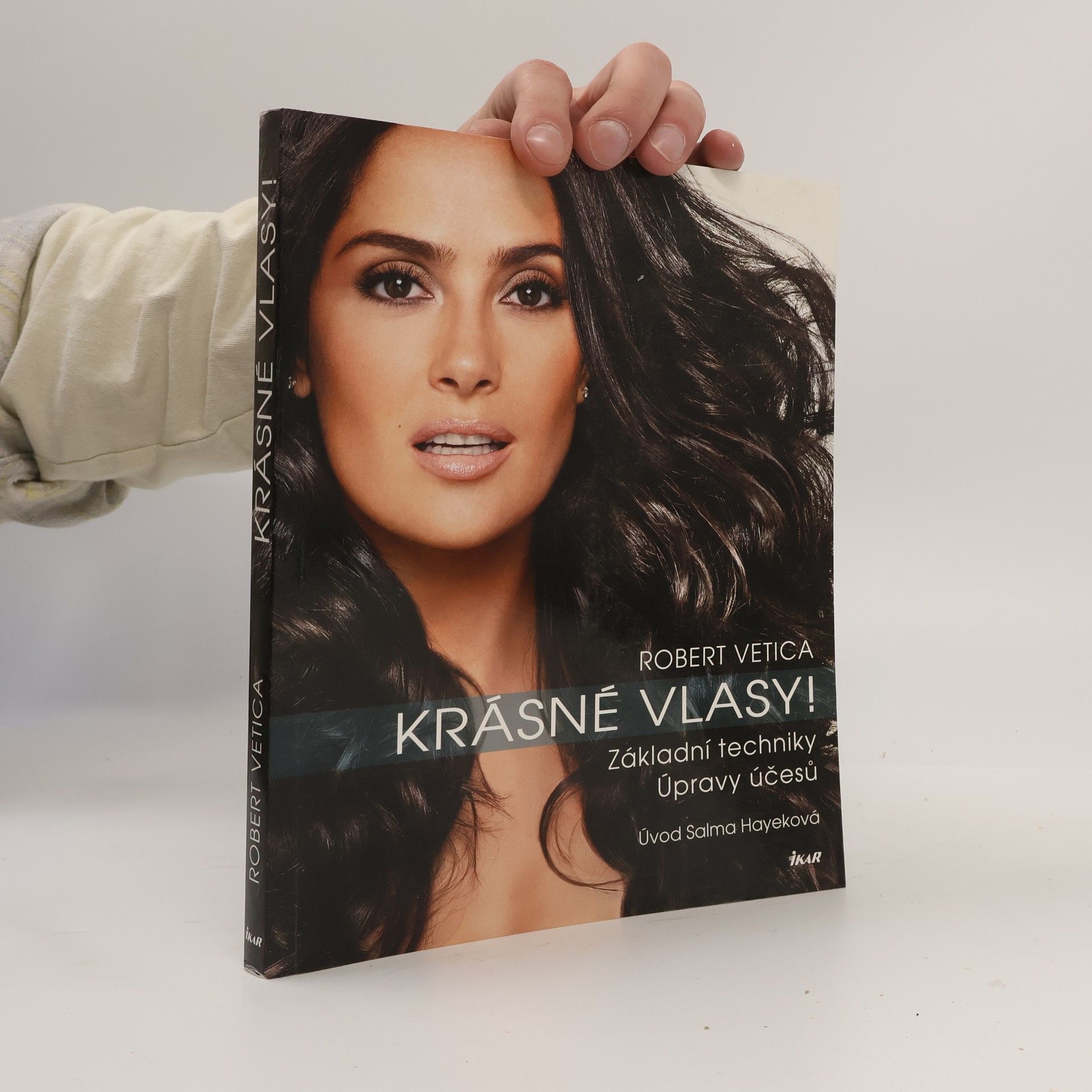Robert Vetica Krásné vlasy! Základní techniky, úpravy účesů